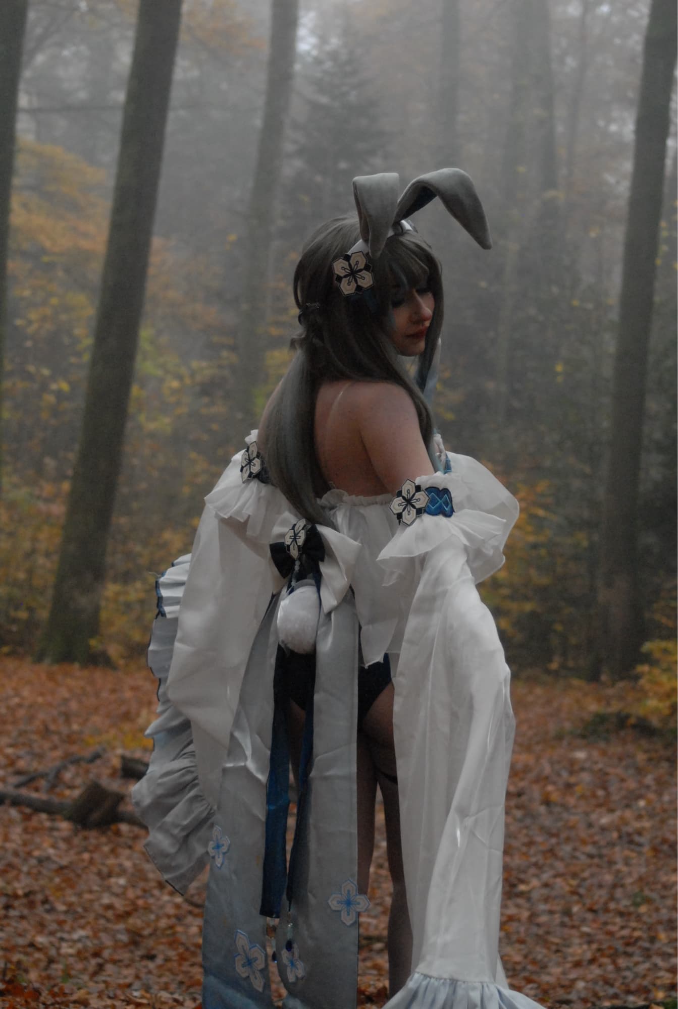 Guizhong Bunny - Photo 1