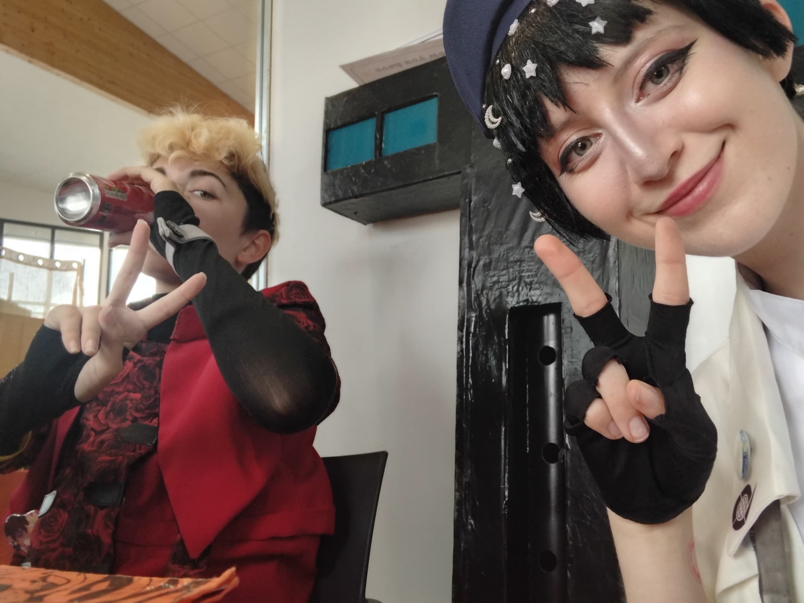 Gevaudan pop culture - Photo 6