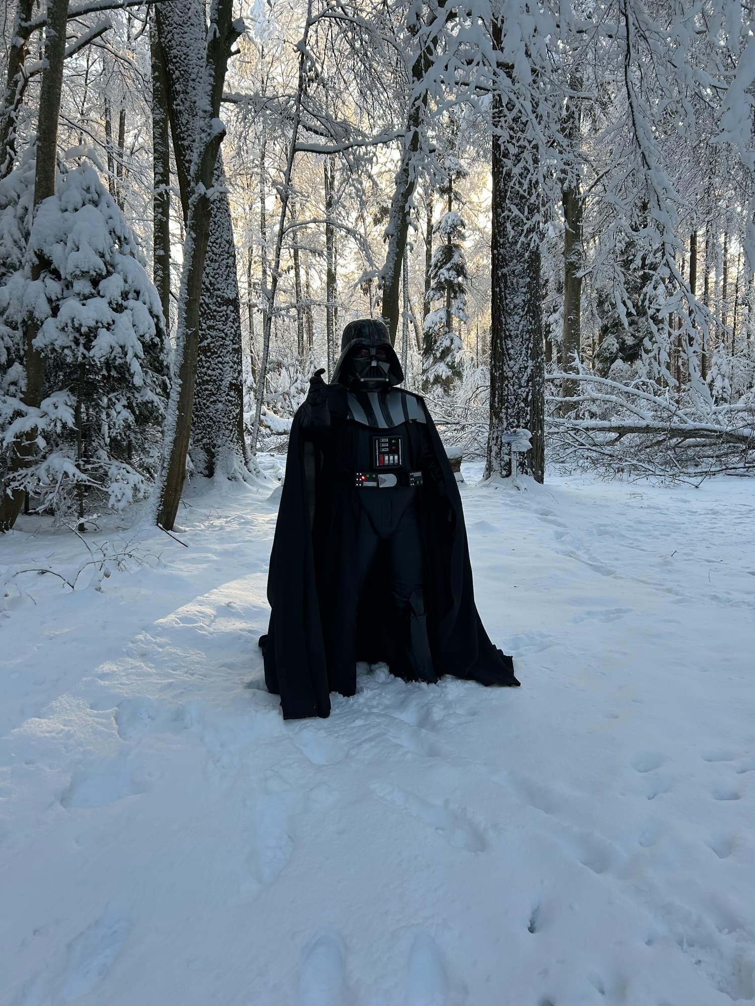 Snow Vader - Photo 24