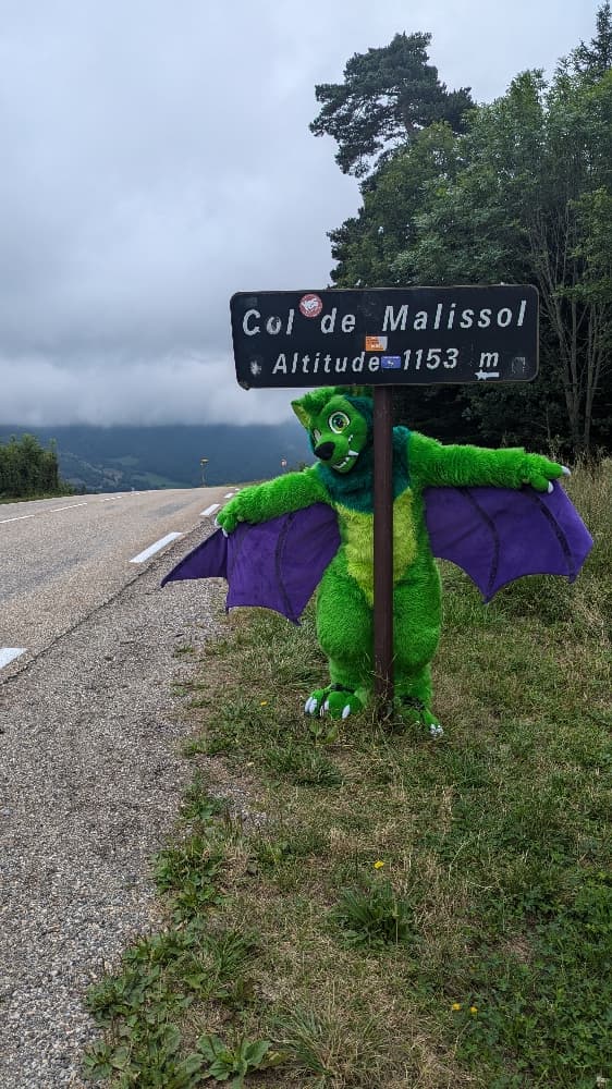 
A dark forest - Photo 10