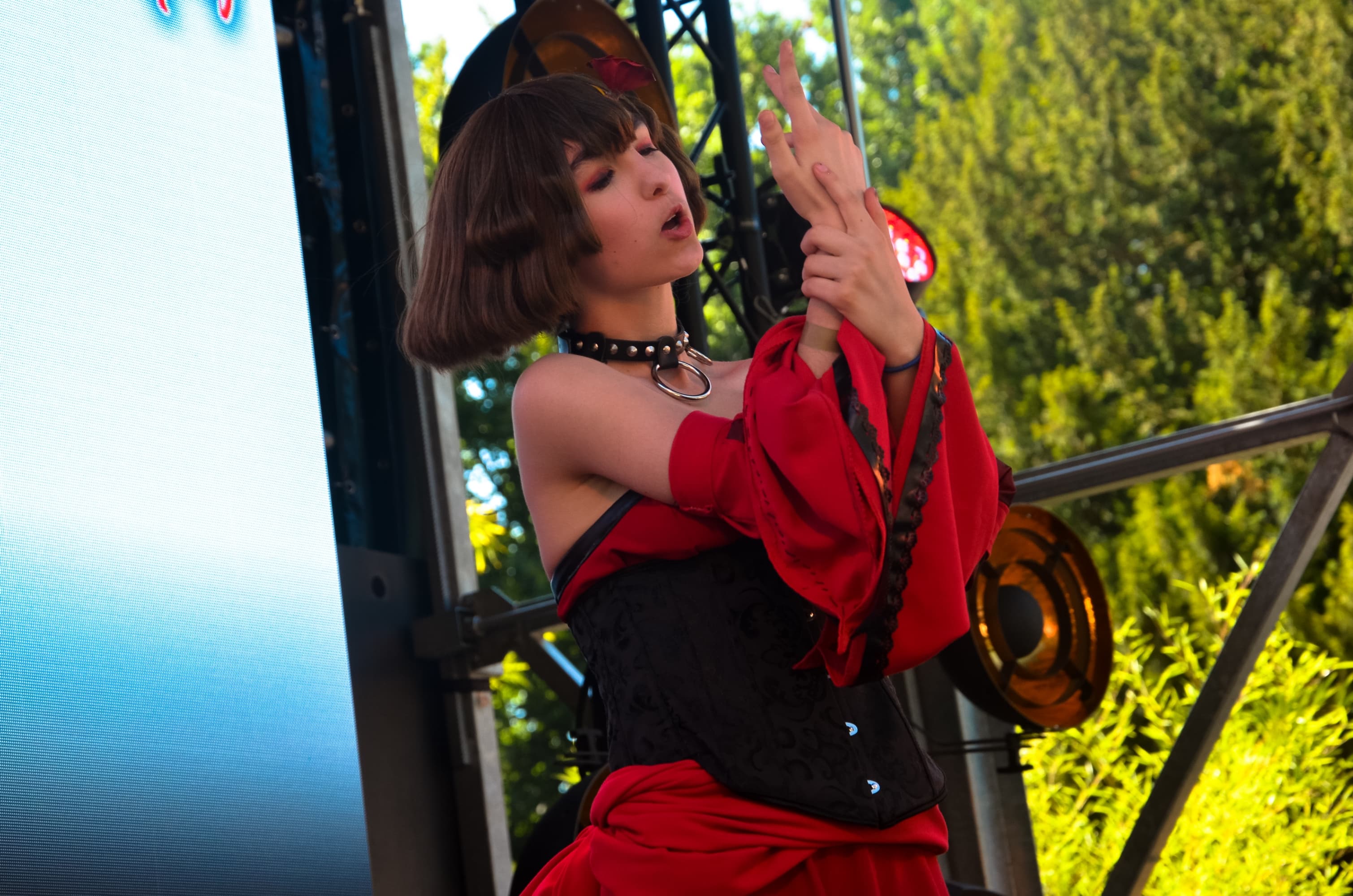 Banica Conchita  - Photo 10