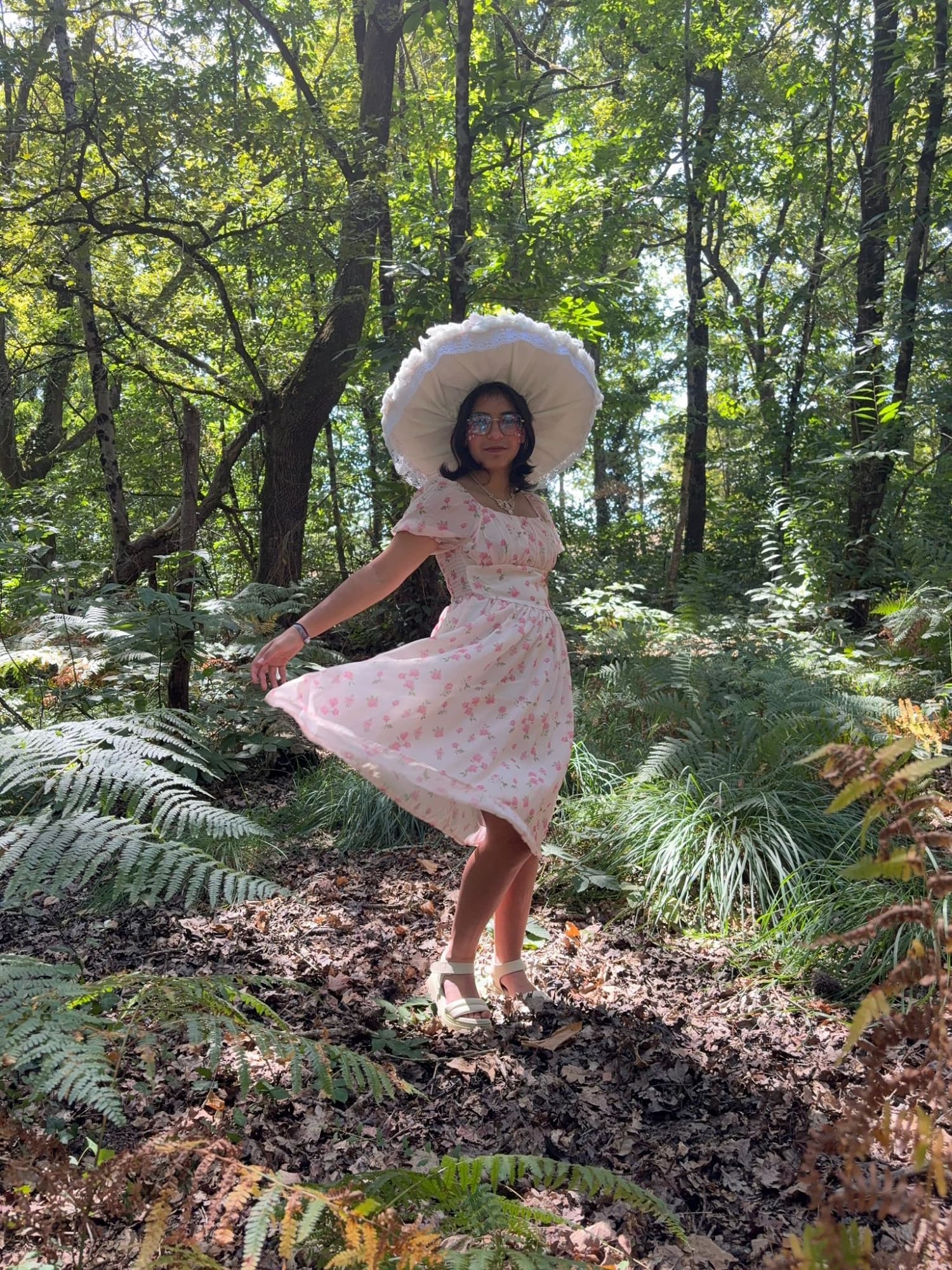 Champignon féerique  - Photo 1