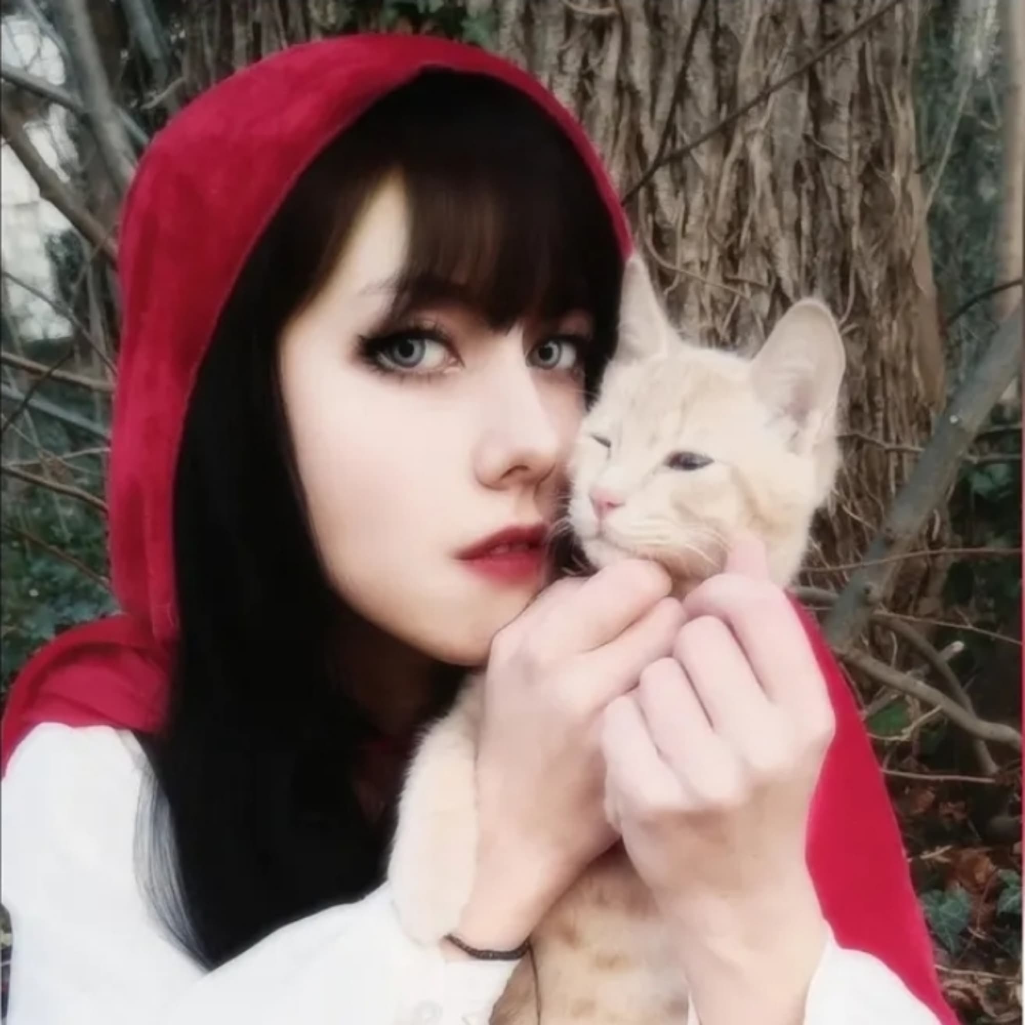 Chaperon rouge