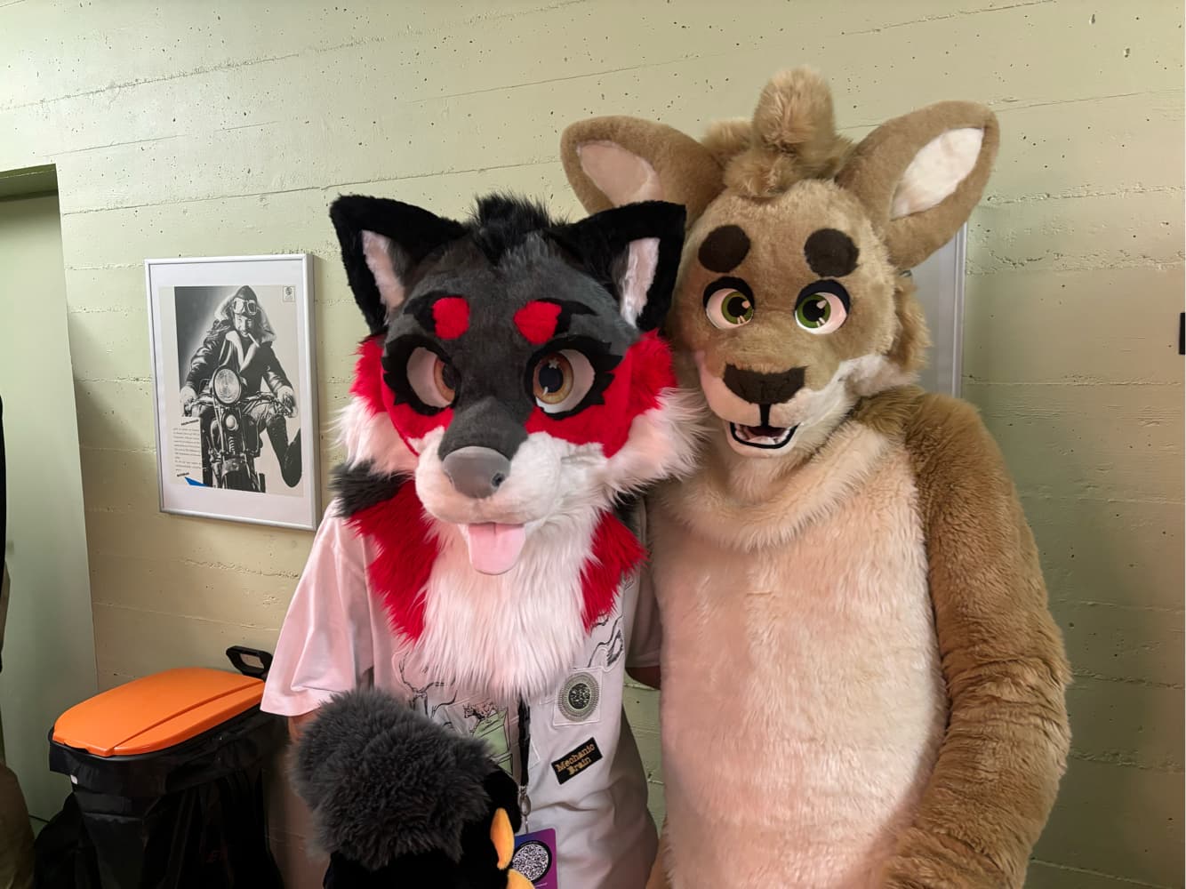 switzerland - Photo 4