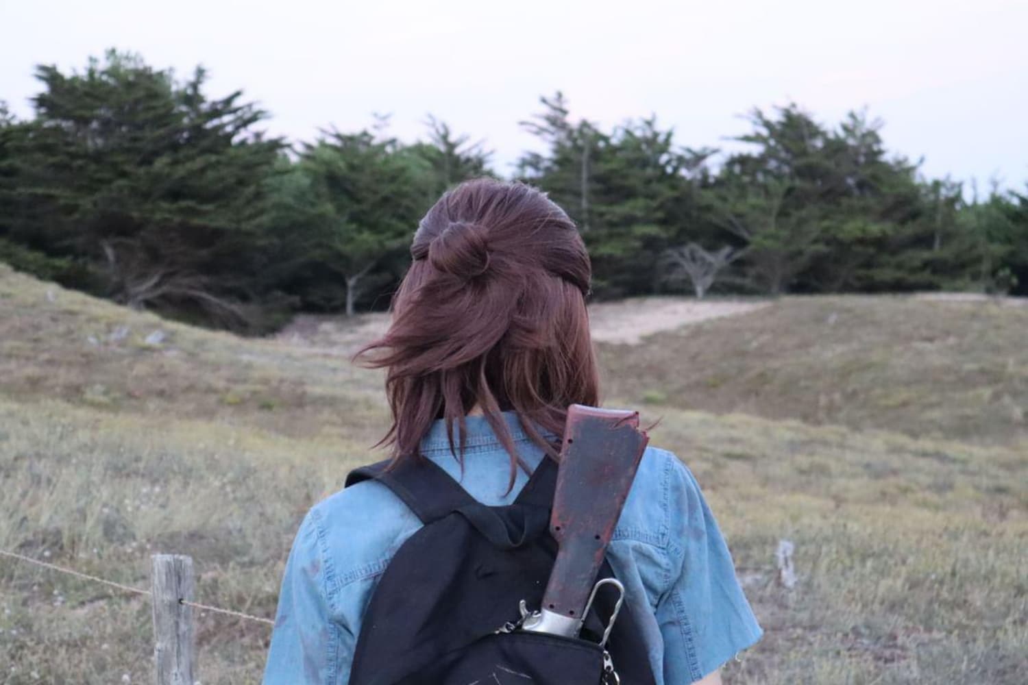 Ellie TLOU2 forest - Photo 5