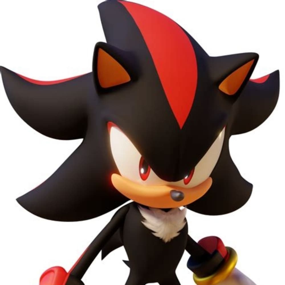 Shadow the hedgehog 🦔