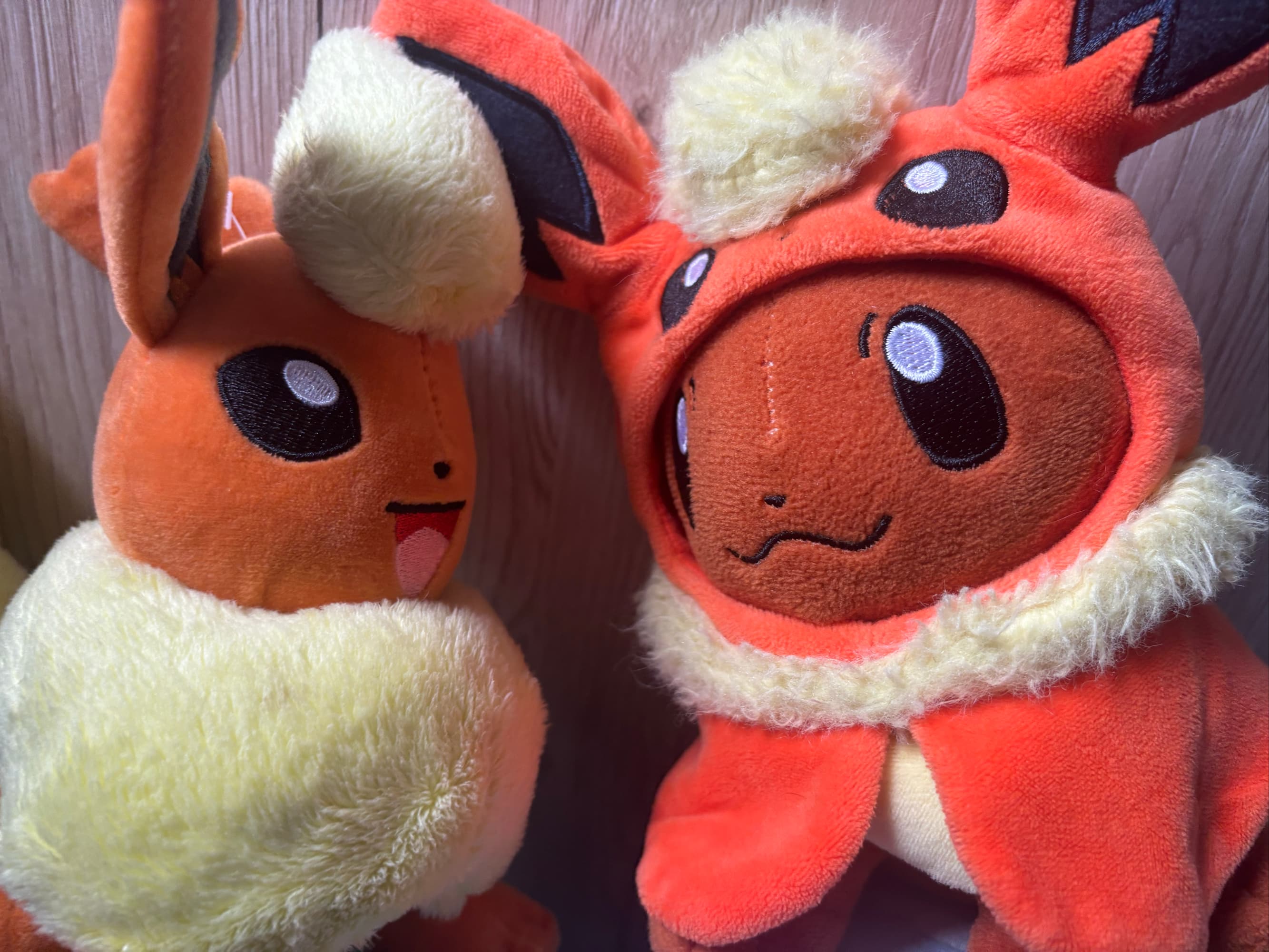 Evoli en Pyroli  - Photo 3