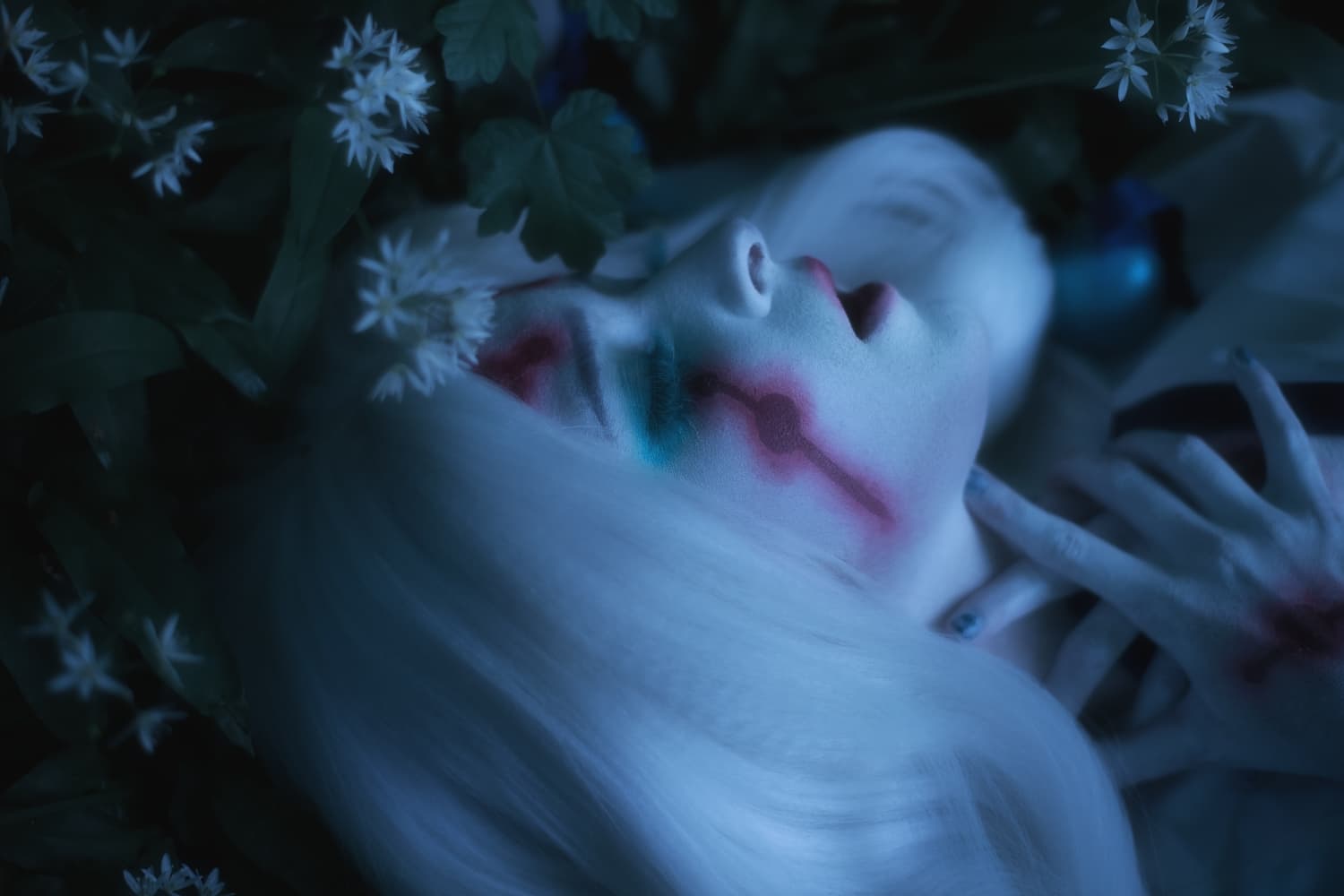 Private - Spider - Photo 11