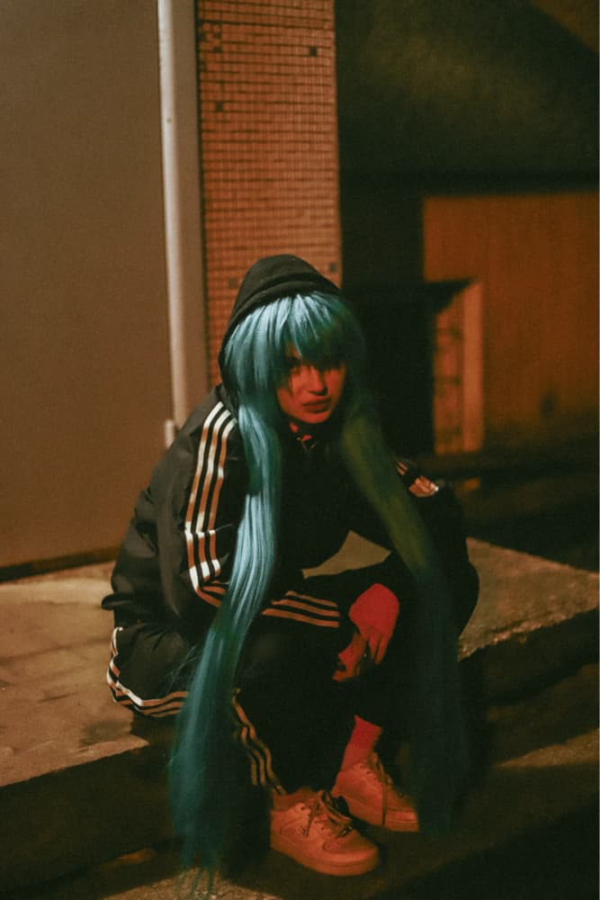 Miku de l’Est 1 - Photo 1