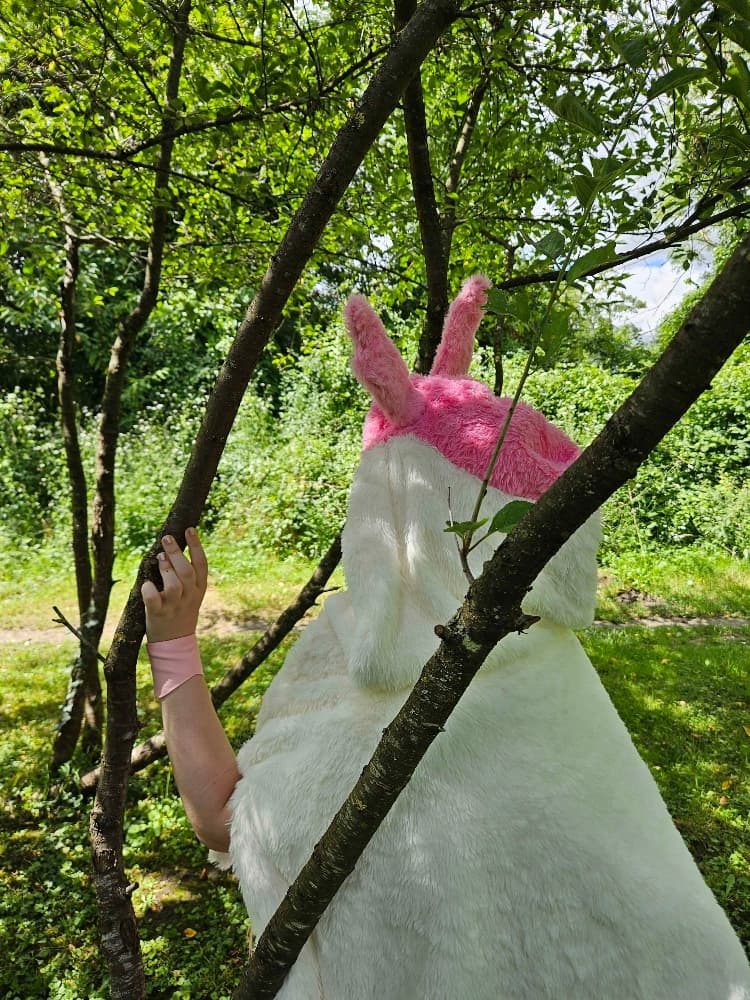 Nymphali forêt  - Photo 6