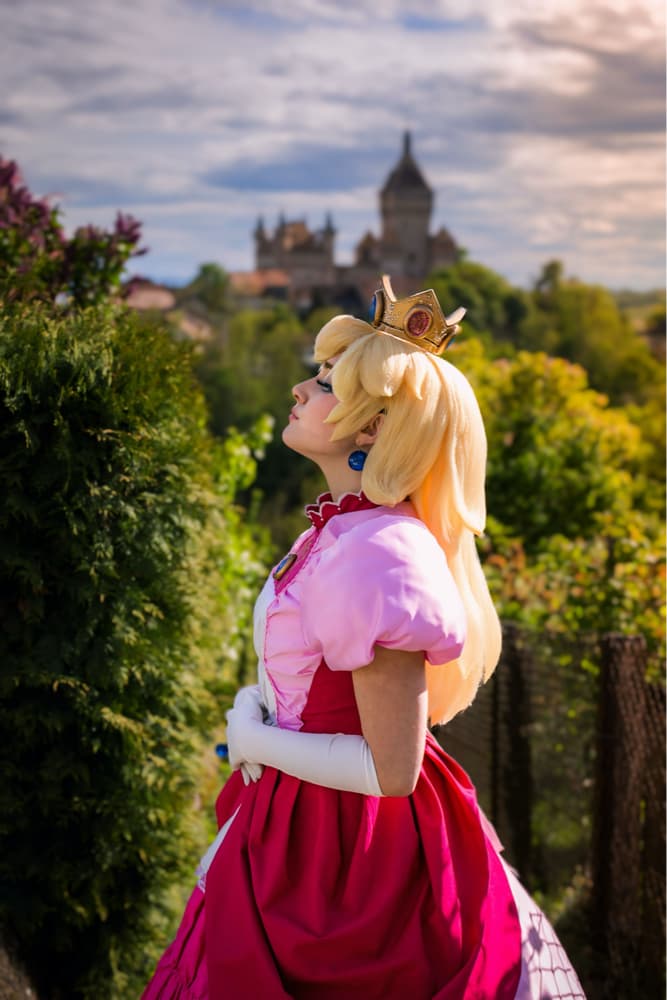 Peach and the Castel - Photo 8