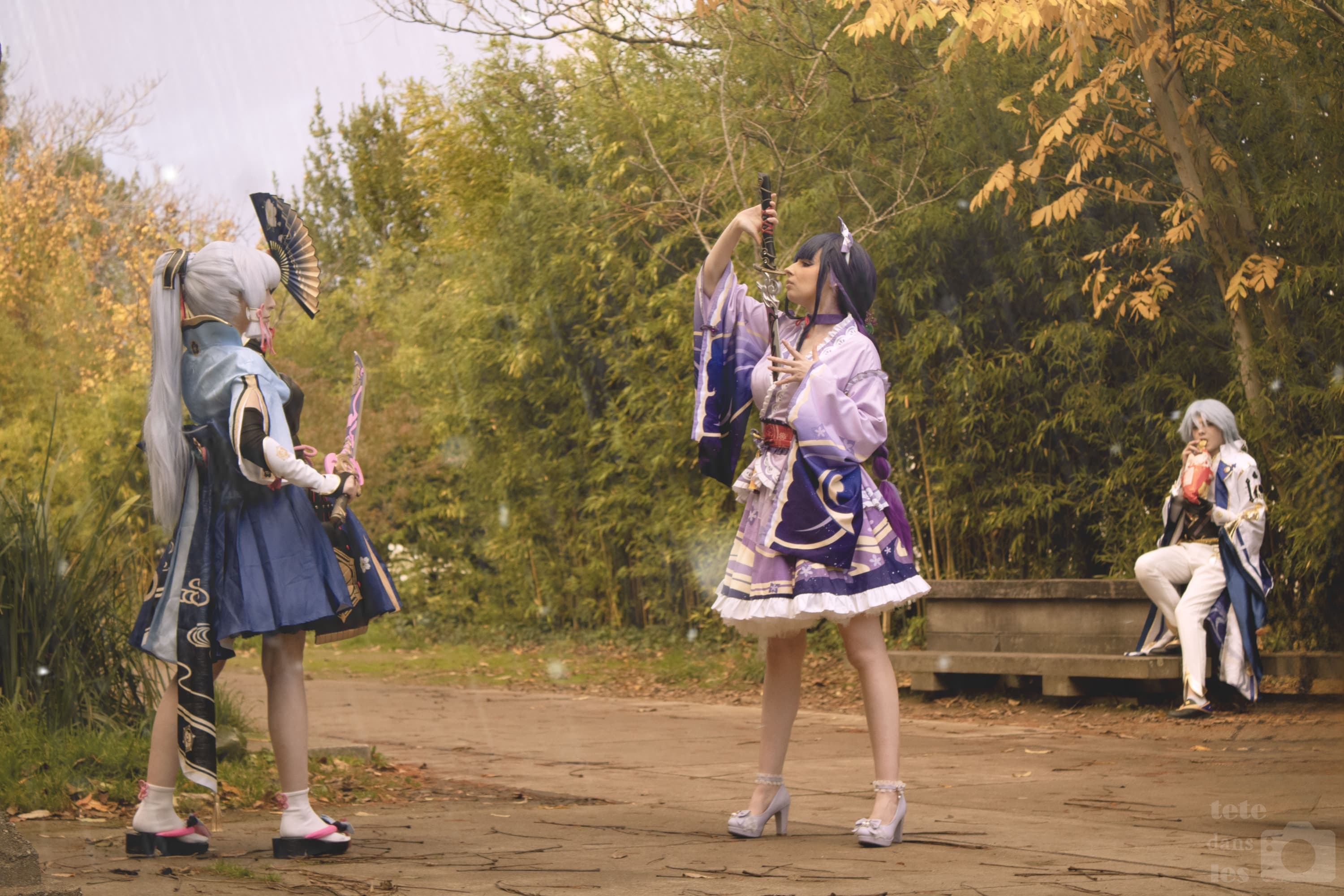 Raiden Shogun - Photo 7