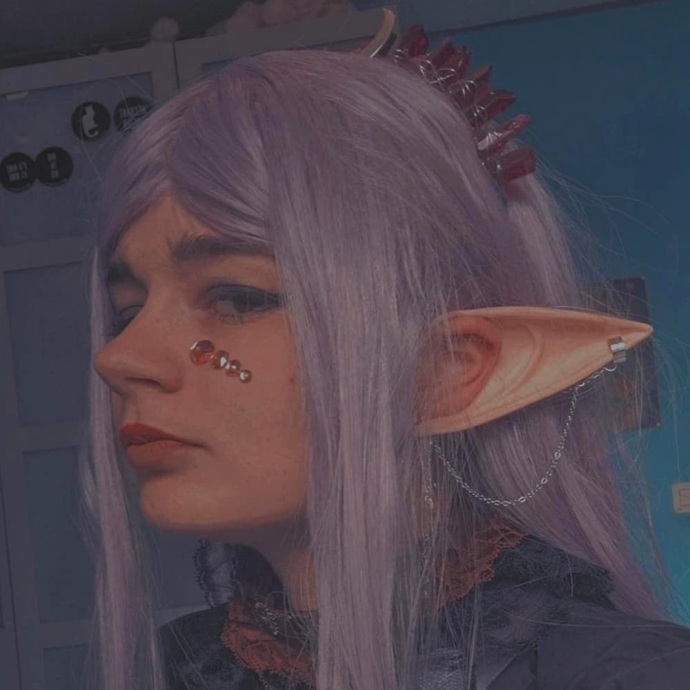 The owl house - Photo 1