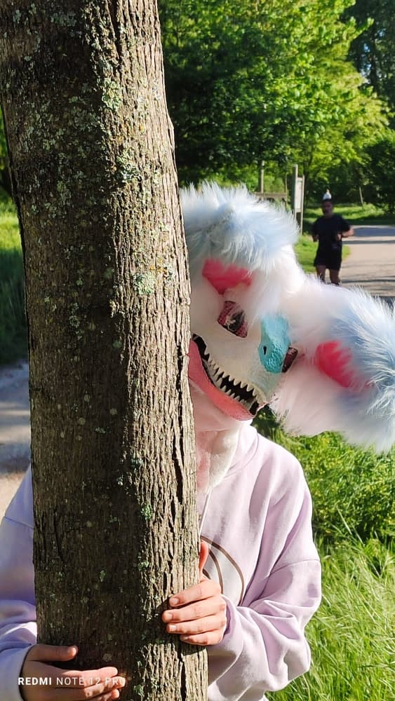 Debut du printemps  - Photo 17