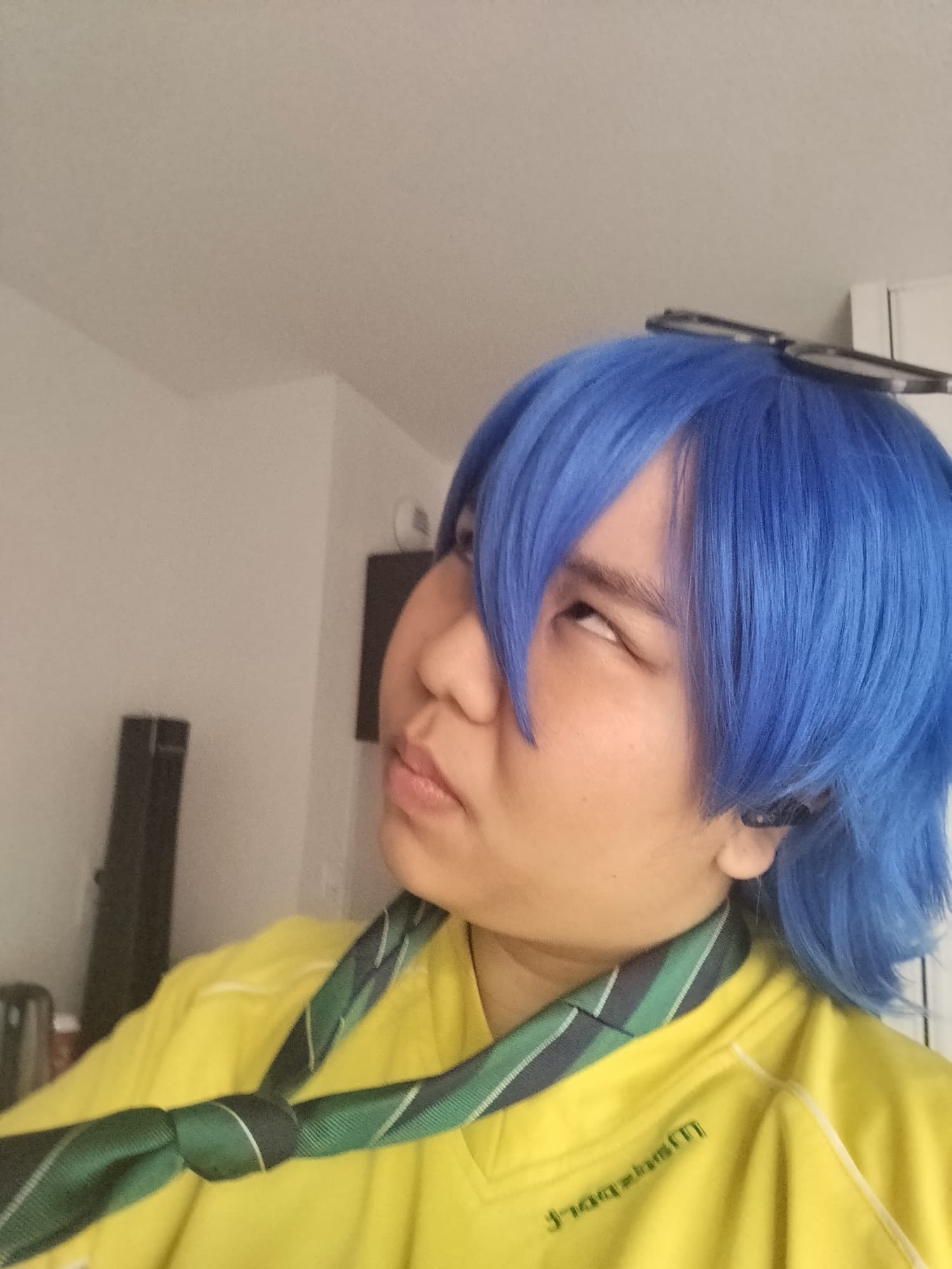 Brazilian Kaito