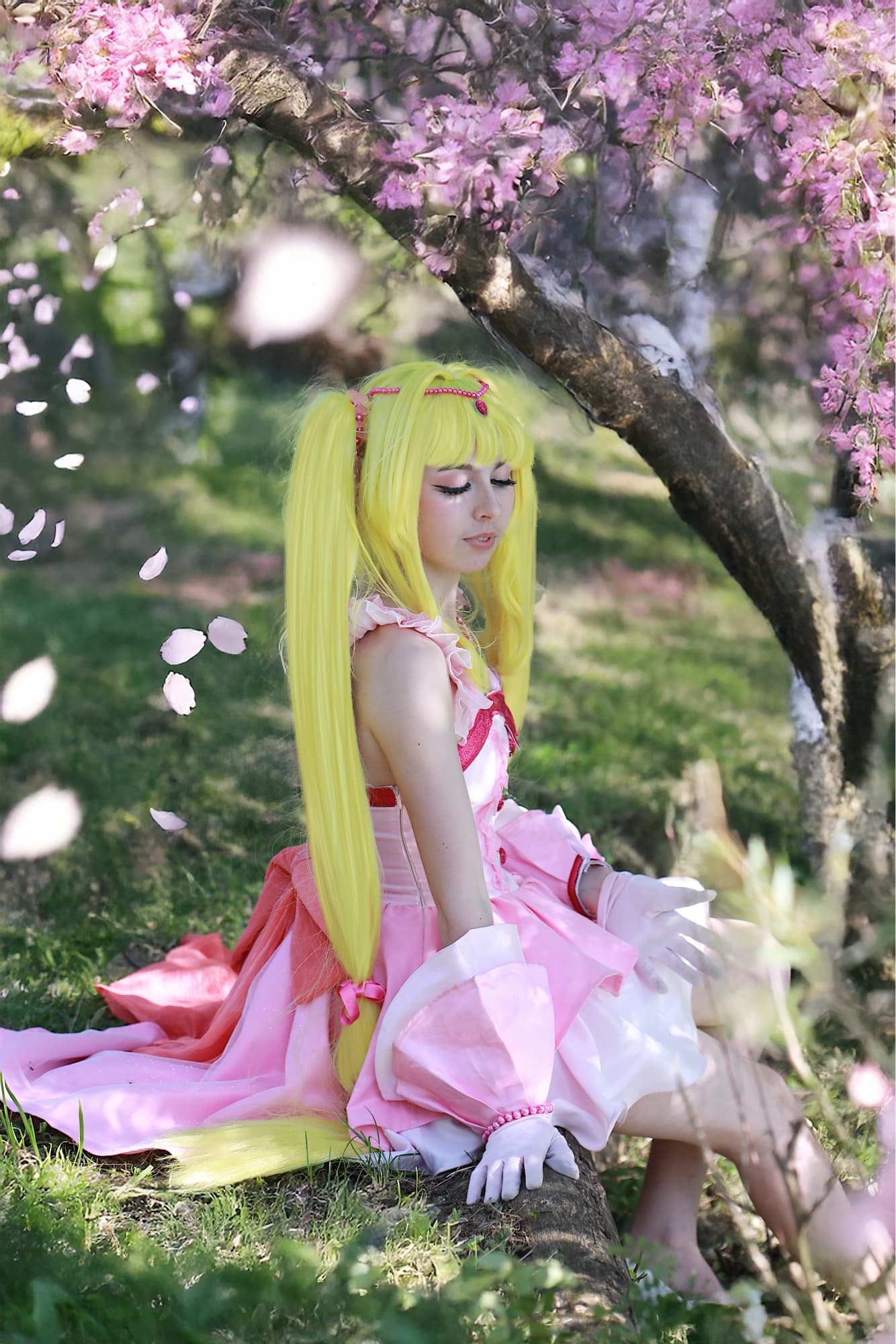 Lucia nanami - Photo 2