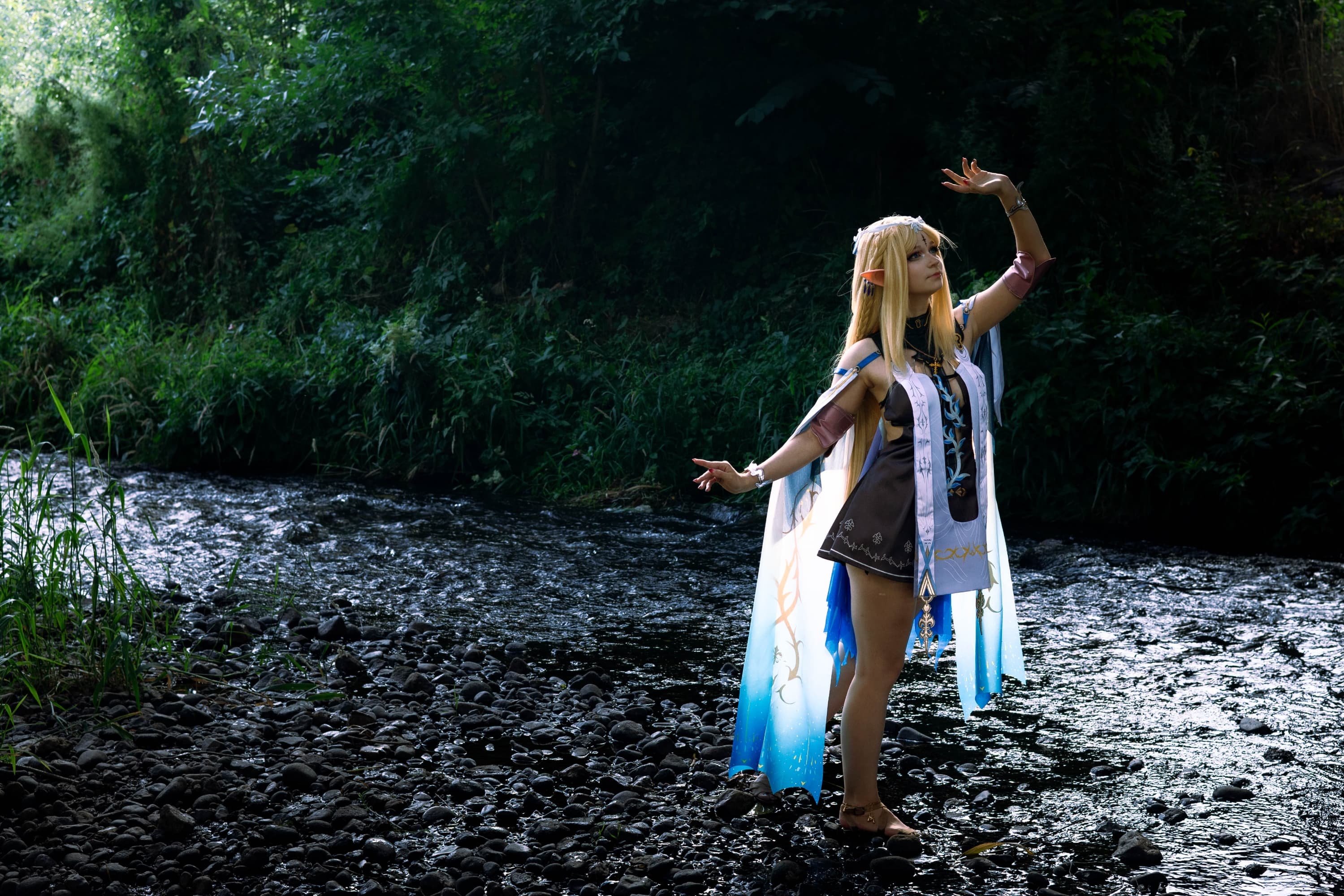 Cartethyia  - Photo 18