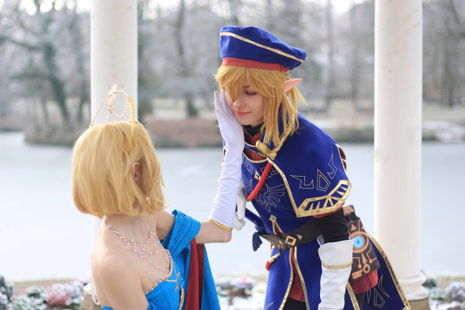 Link royal guard - Photo 4