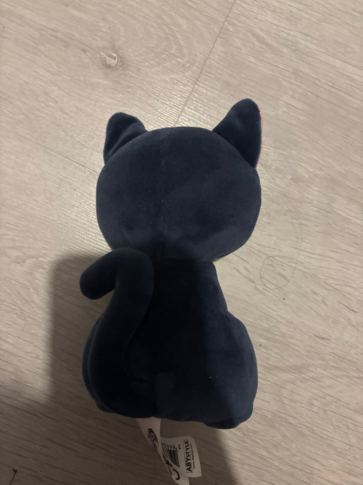 Chat (Sailor moon) - Photo 3