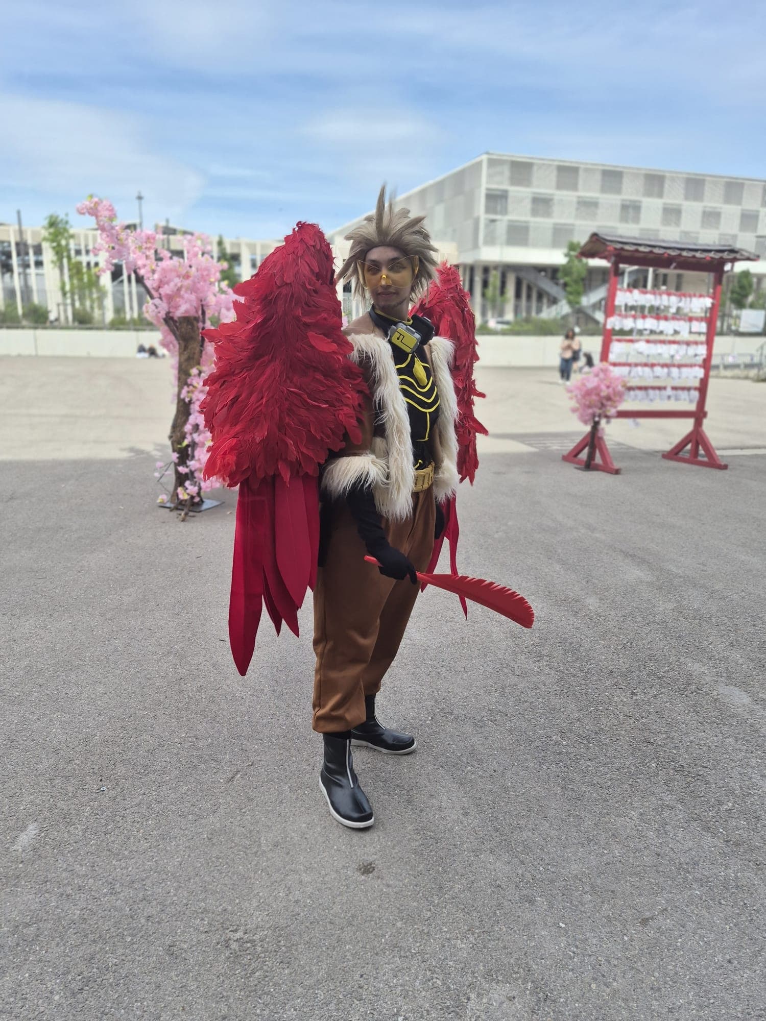 Hawks  - Photo 13