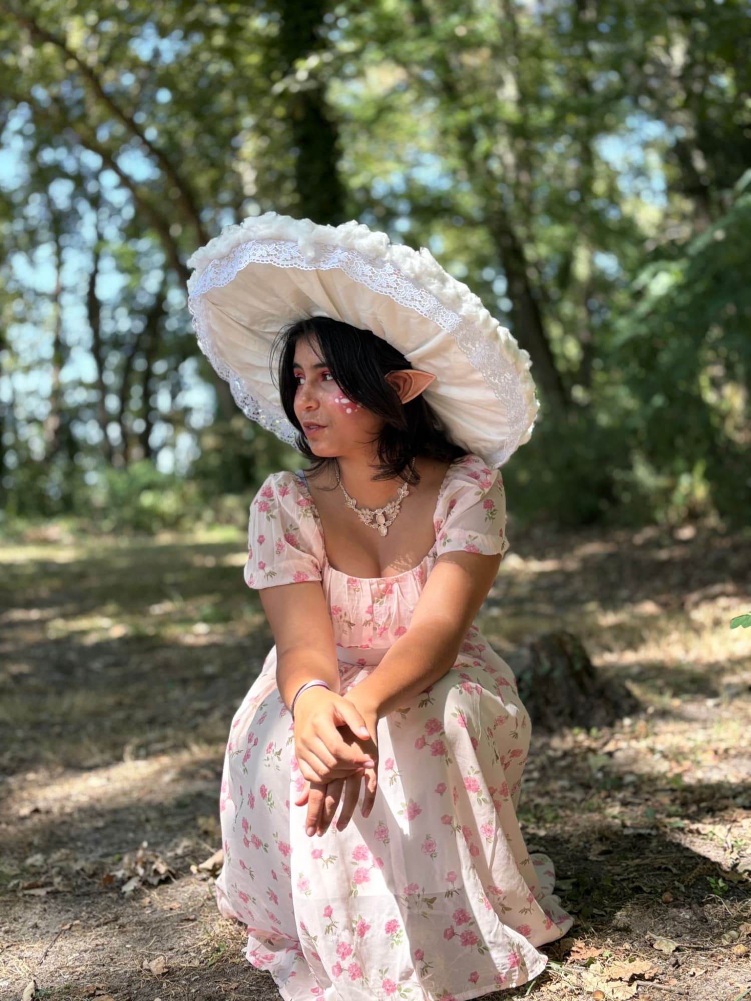 Champignon féerique  - Photo 9