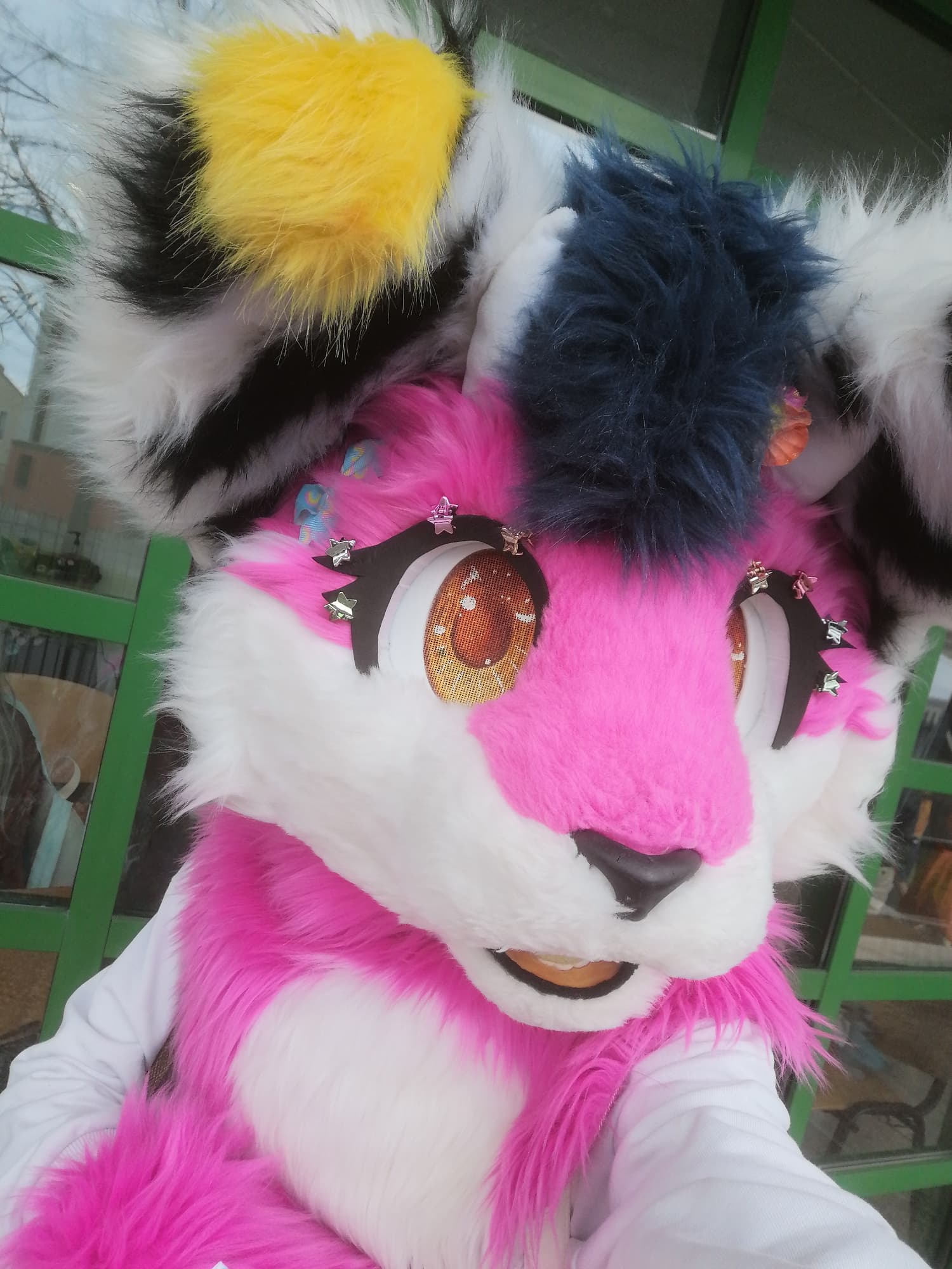 Bac stage 10e édition