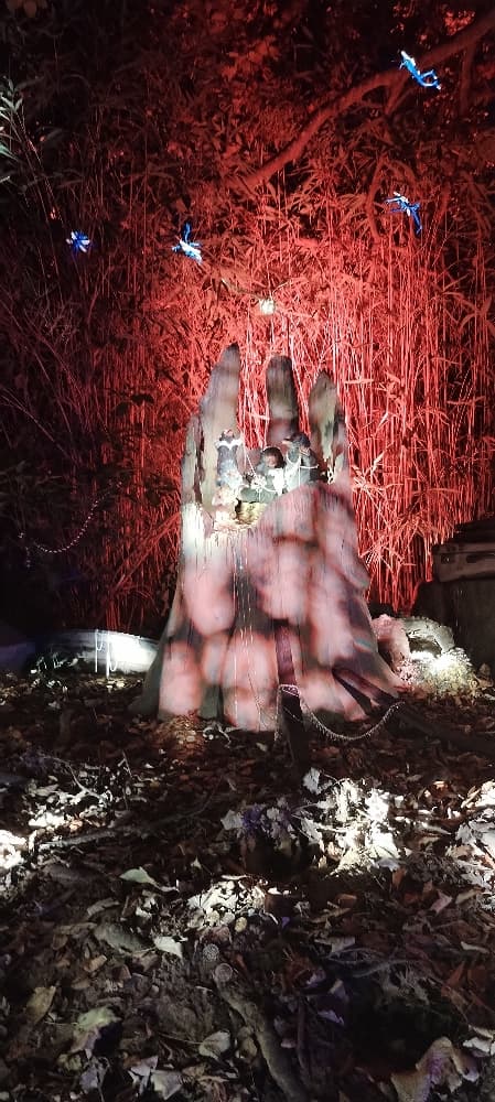 La forêt interdite - Photo 36