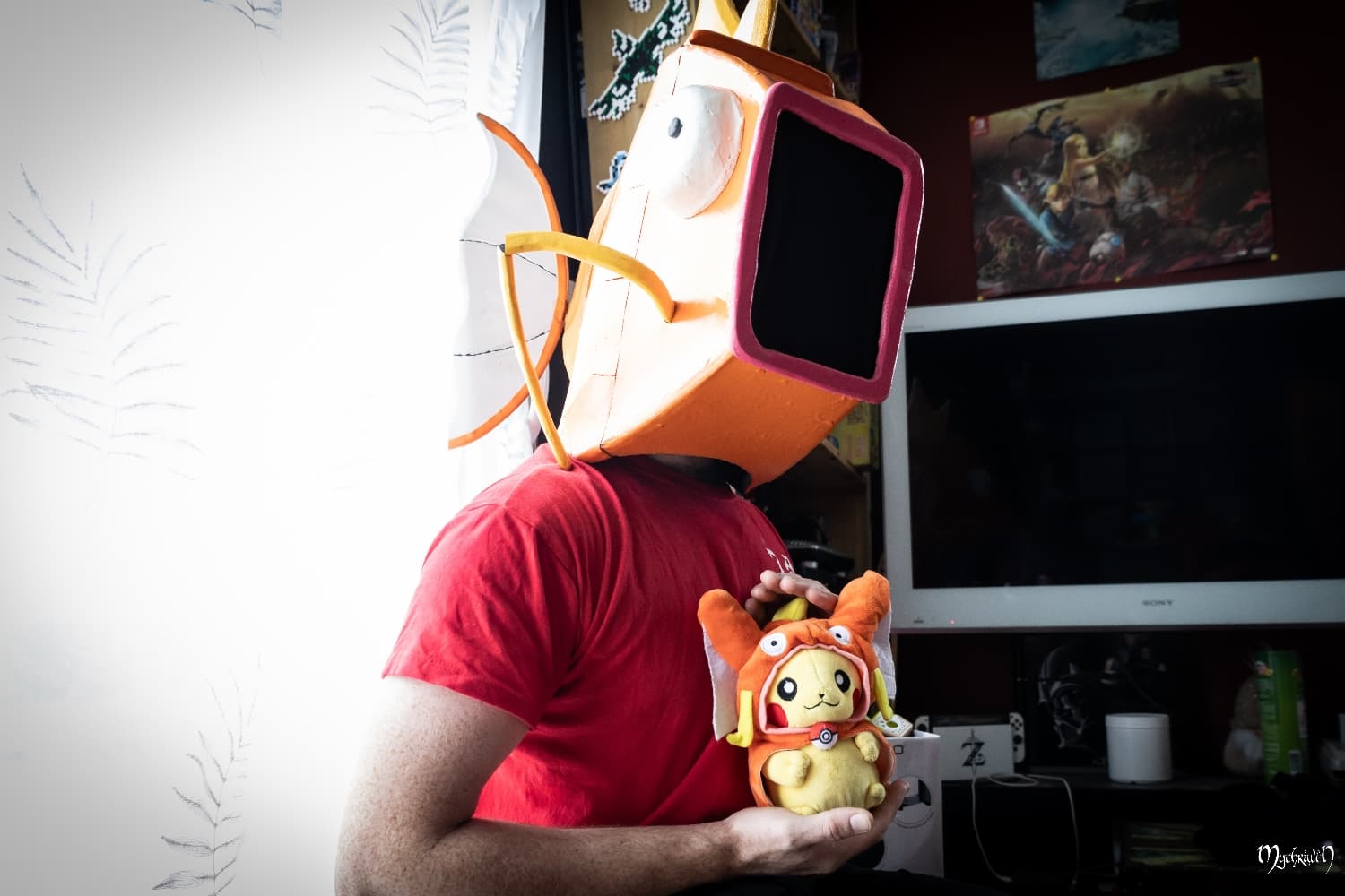 Gare à Pict'Asia - Photo 11