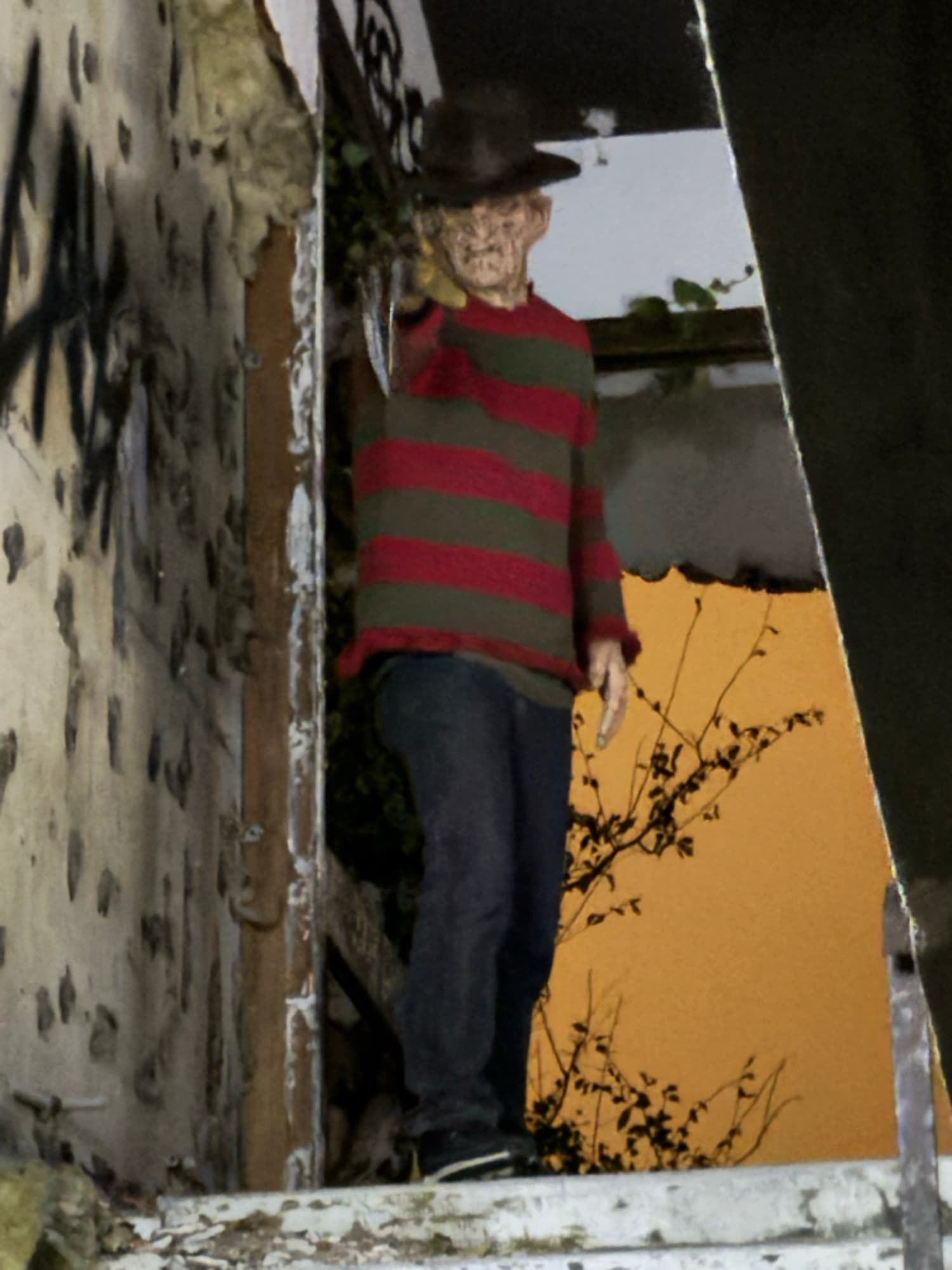 freddy krueger  - Photo 13