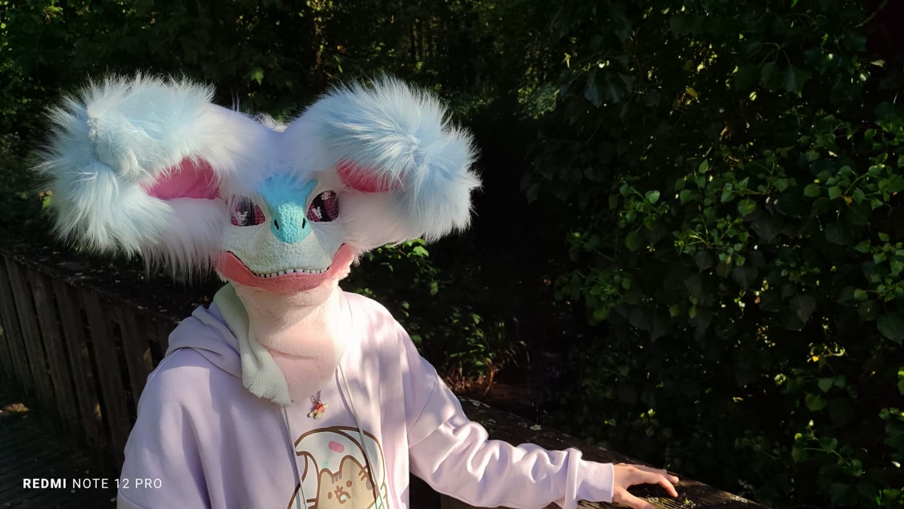 Debut du printemps  - Photo 48