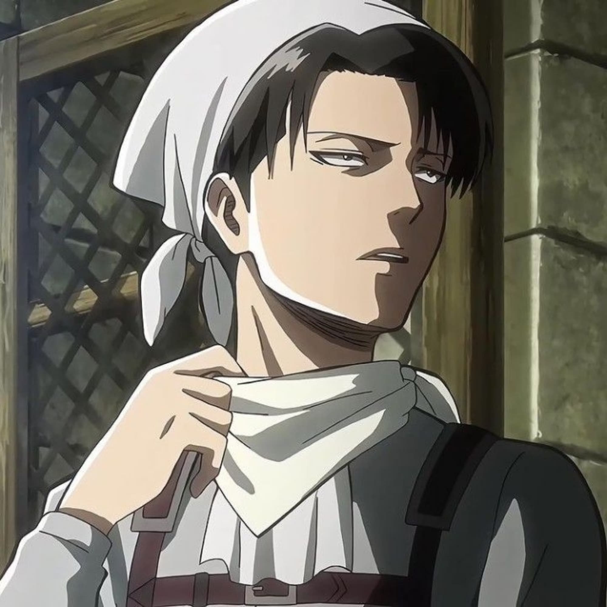 Levi nettoyage 