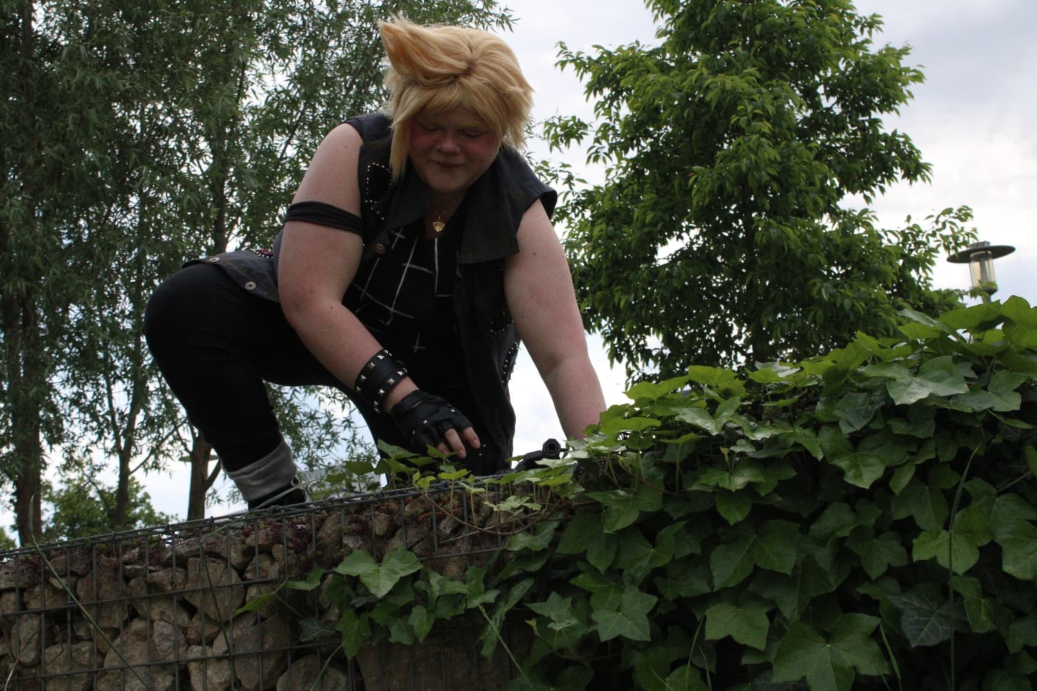 Prompto argentum  - Photo 26