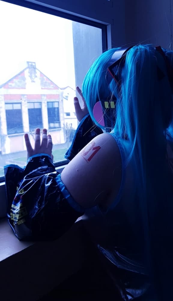 Hatsune miku  - Photo 3