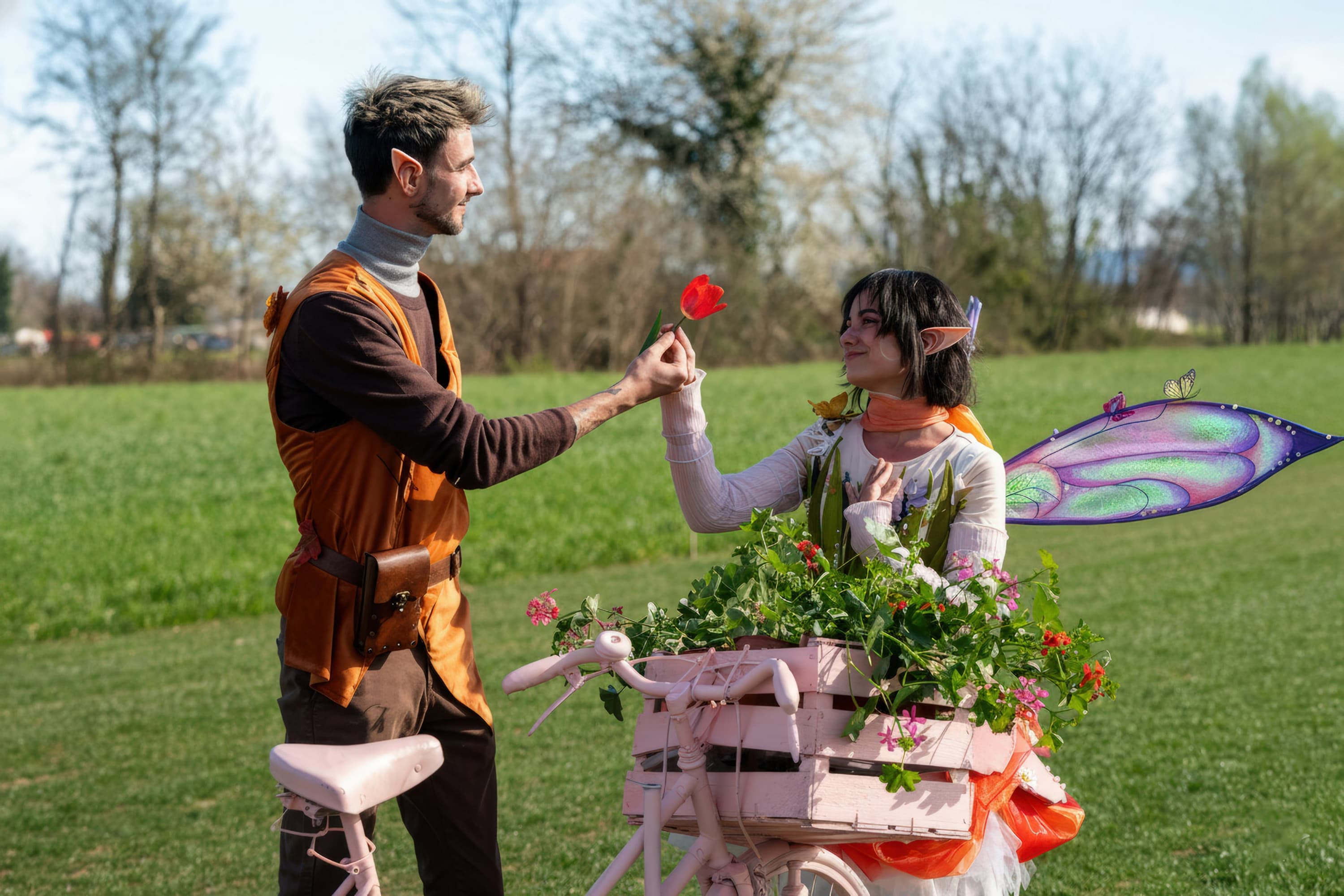Lale the FairyTulip  - Photo 1