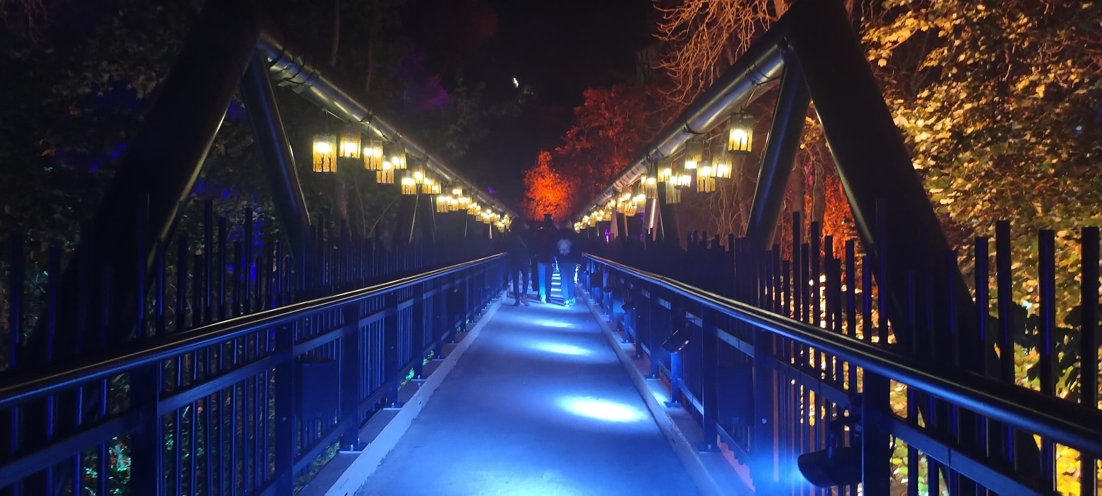 La forêt interdite - Photo 25