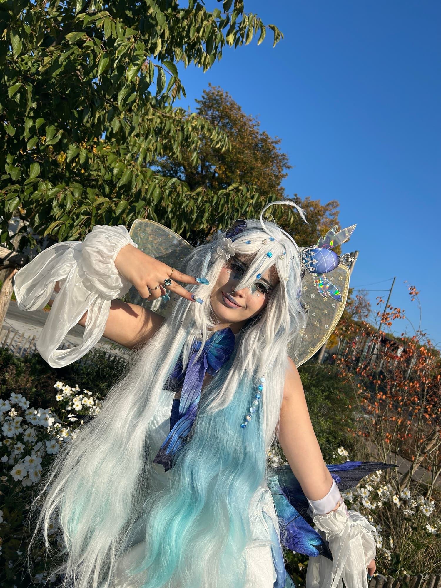 Miku butterfly  - Photo 4