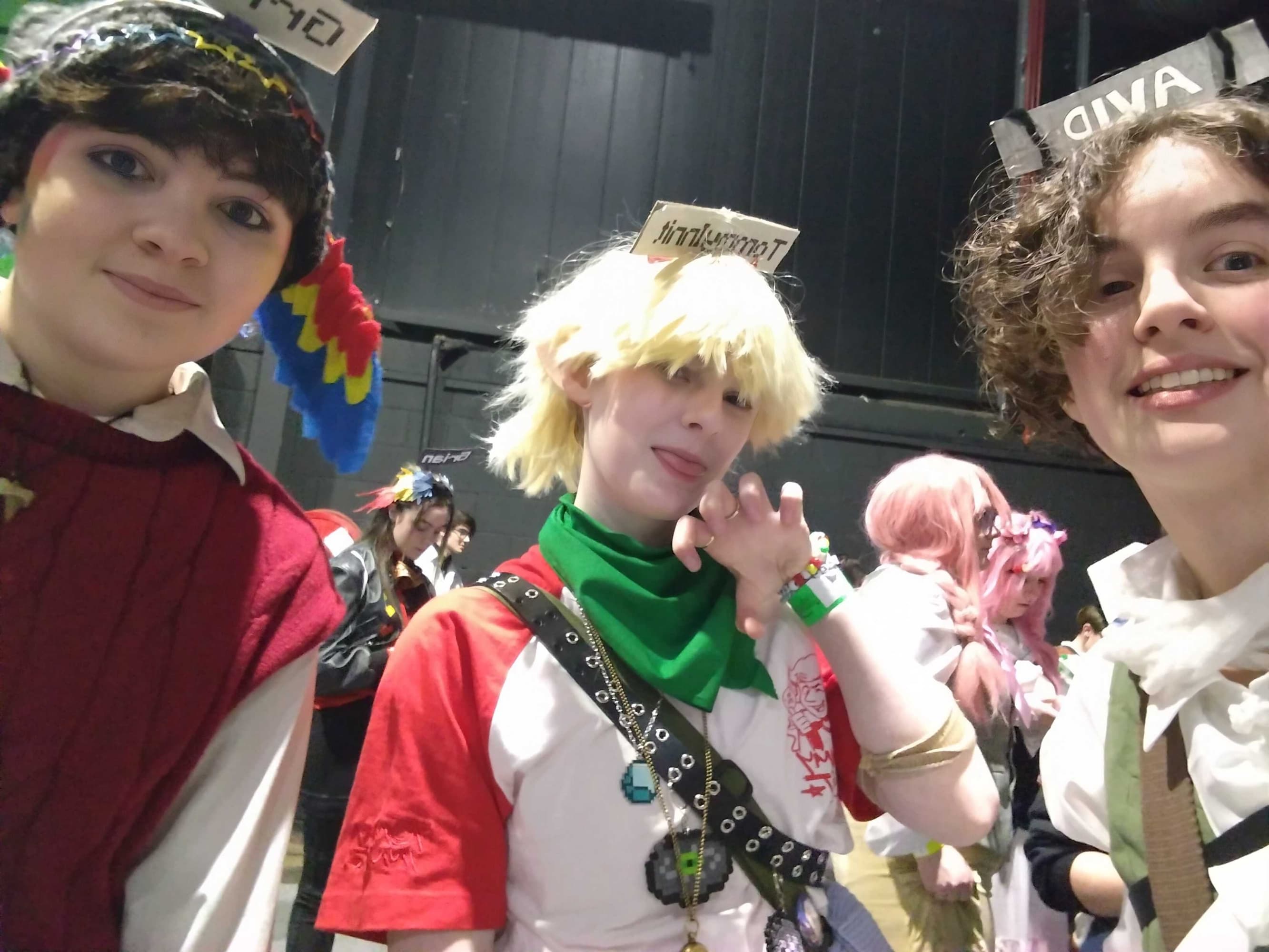 Dublin megacon '26 - Photo 14