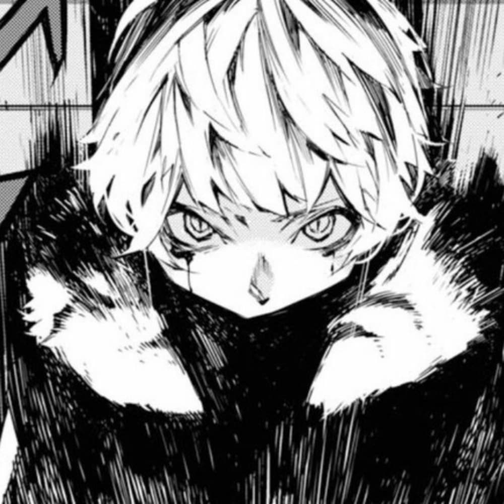 Atsushi Nakajima (Beast)