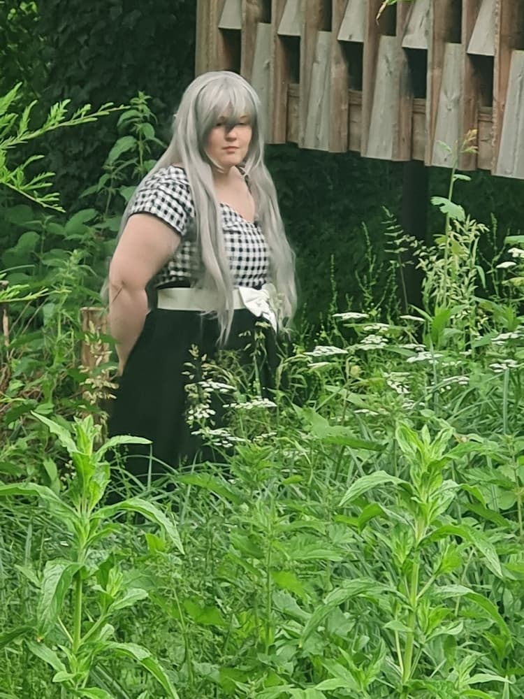 Corrin fire emblem  - Photo 8