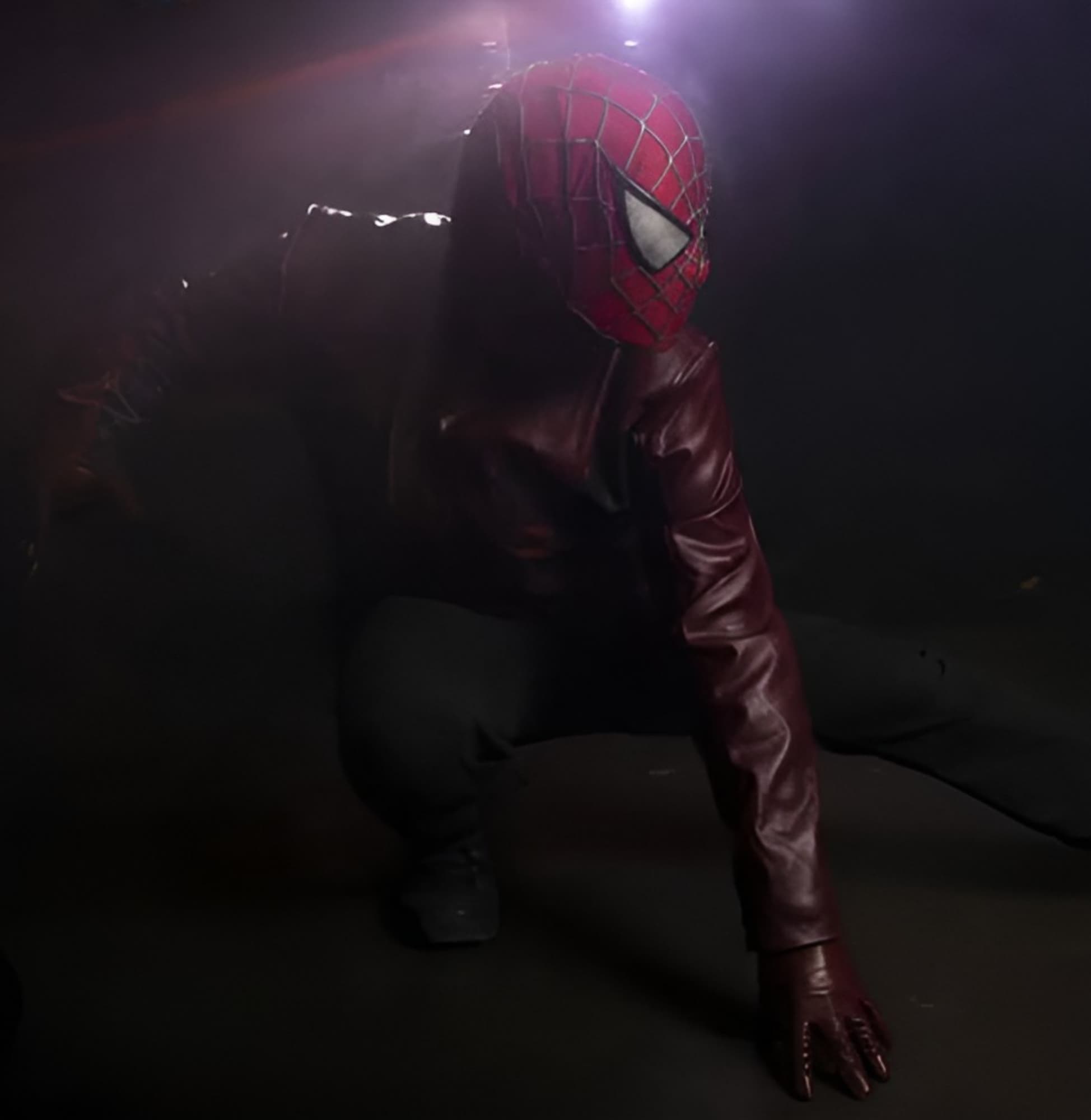 Spiderman Last Stand - Photo 10