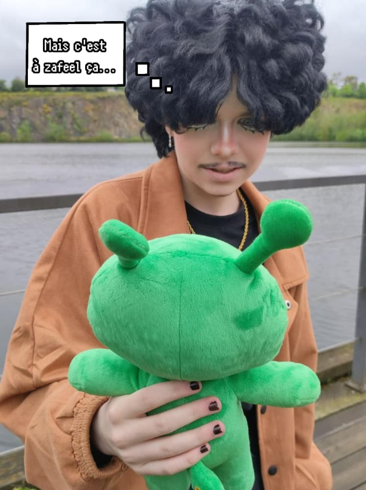 Raffale Japanantes - Photo 1