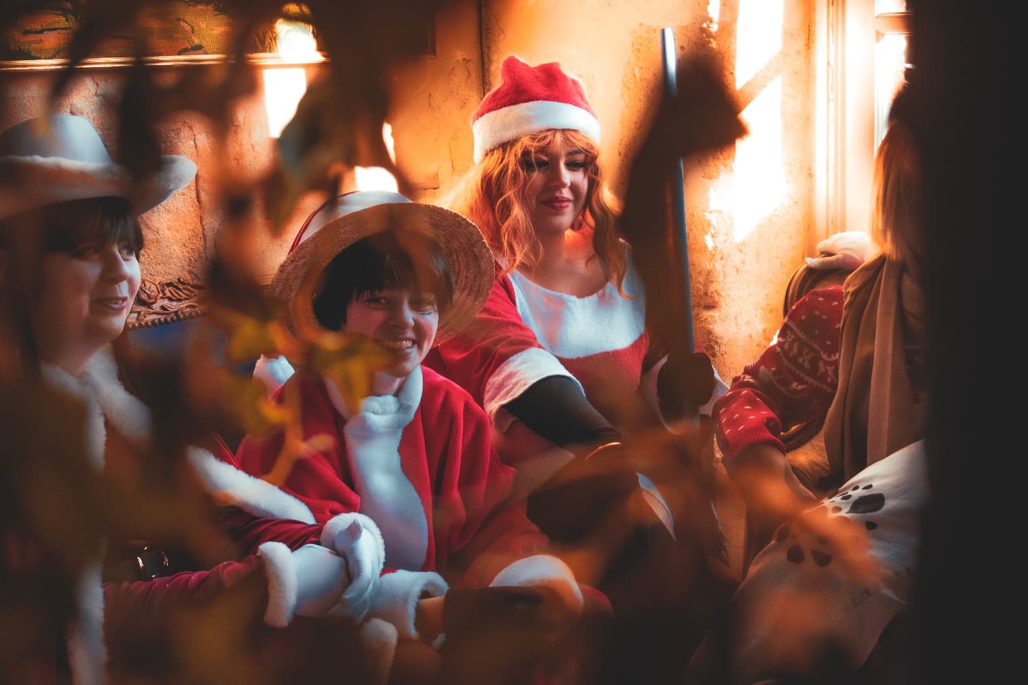 One piece noel 1 - Photo 5