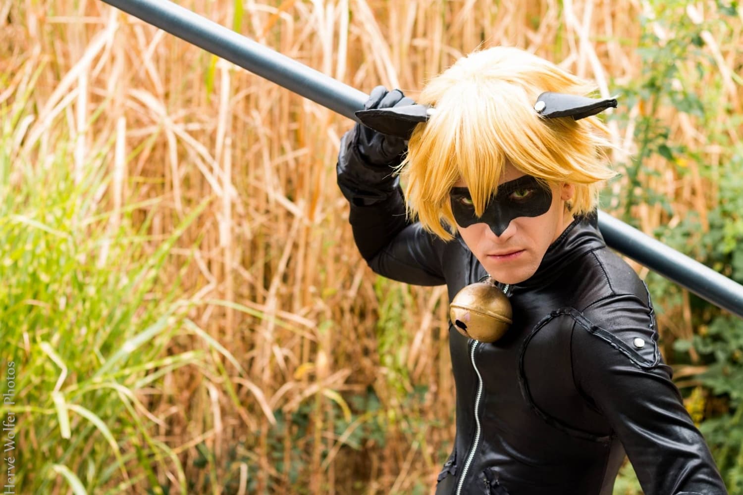 Chat Noir 02 - Photo 8