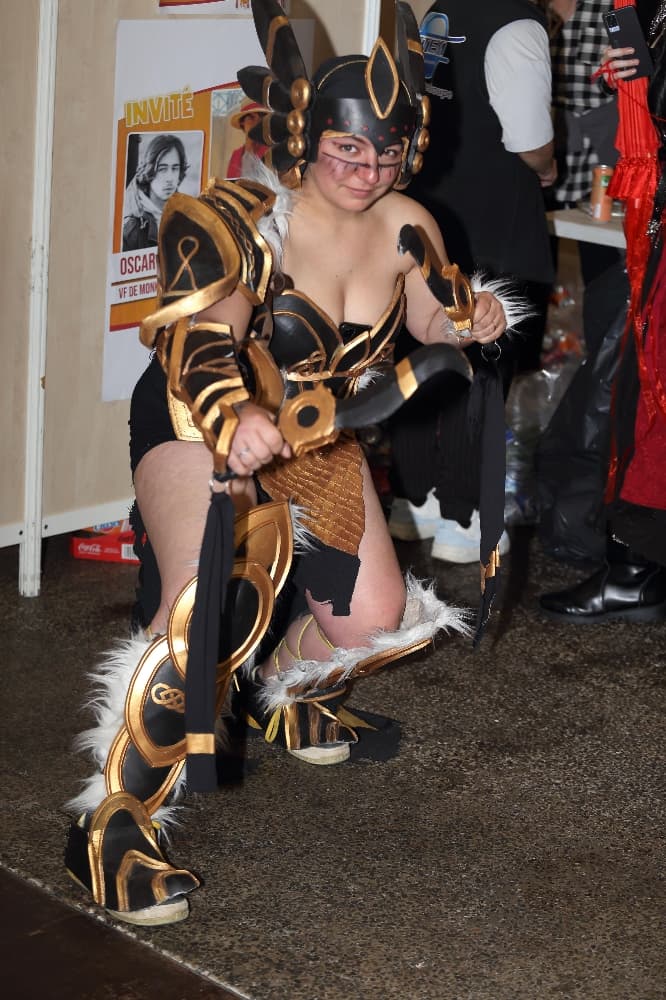 Armure noctali - Photo 2