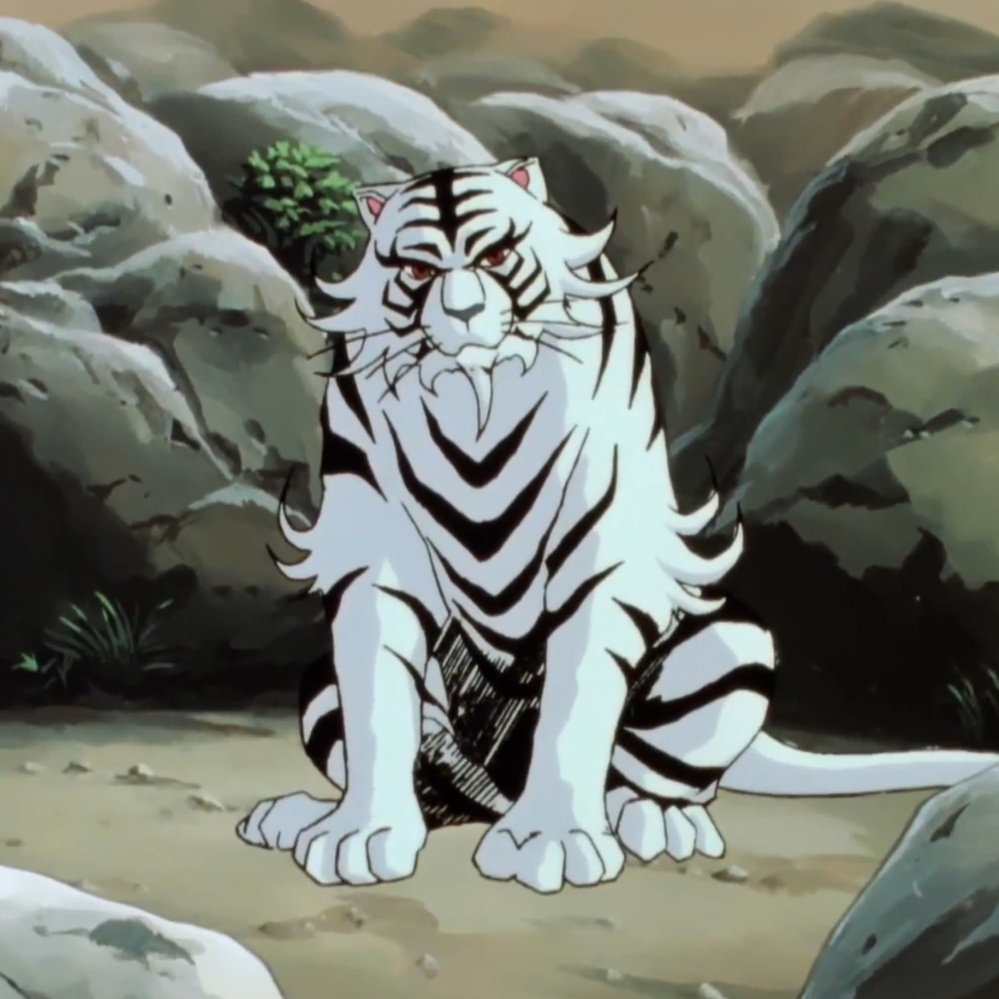 Kraor (human version