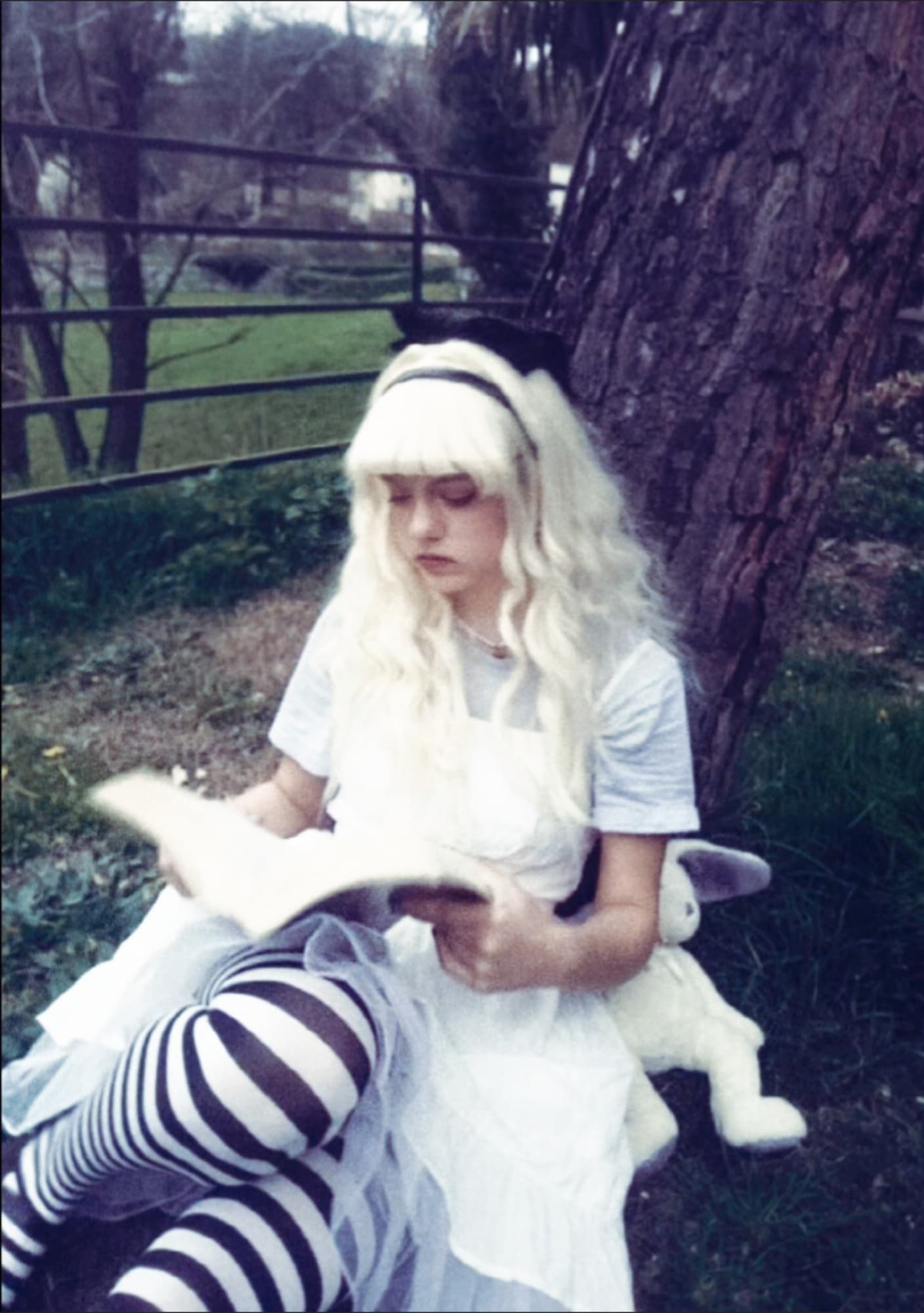 ALICE  - Photo 17