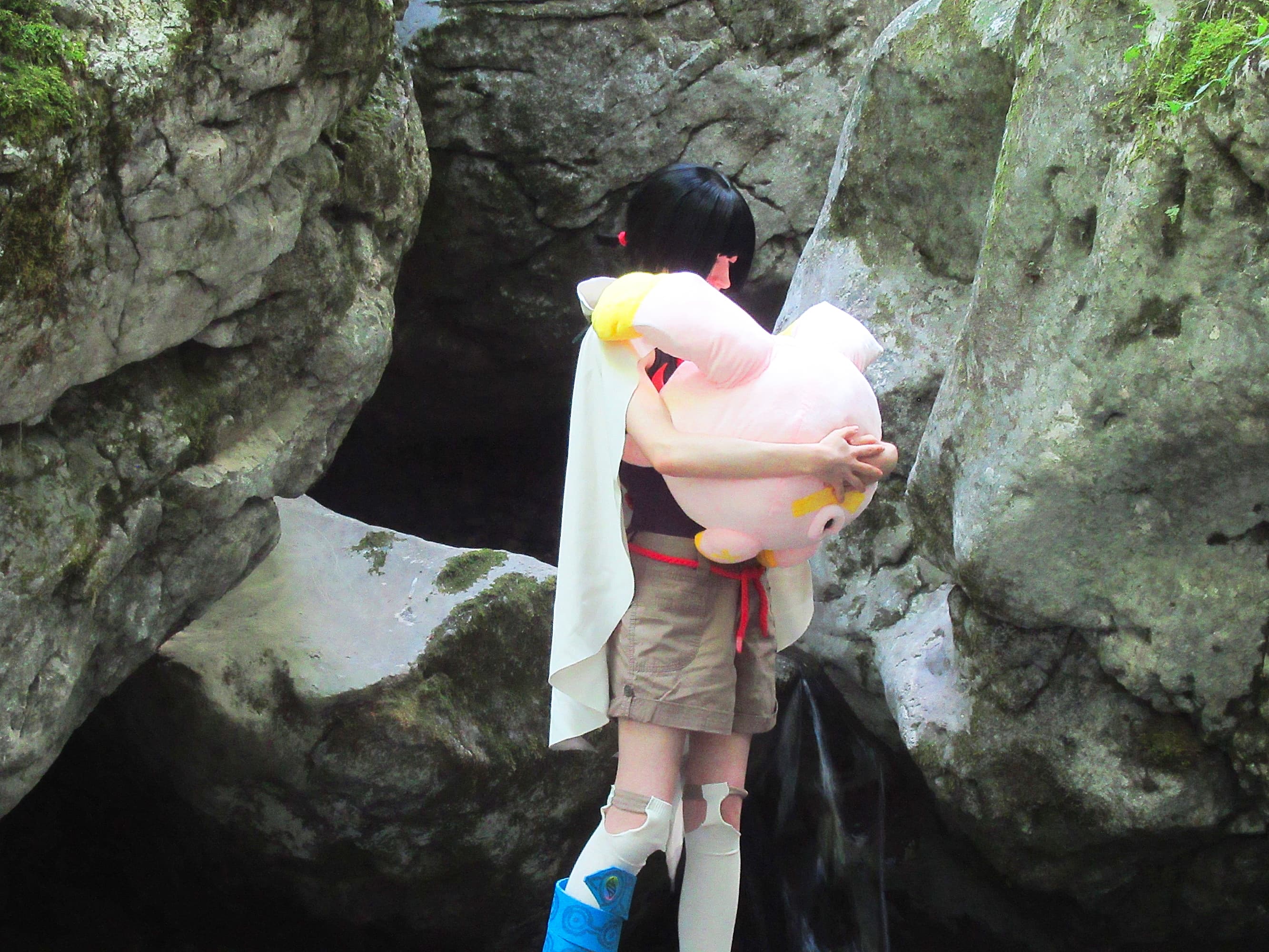 Amaryllis P2 - Photo 10