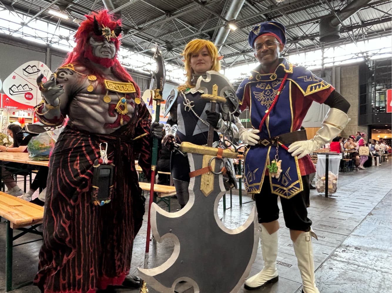 Link royal guard - Photo 6