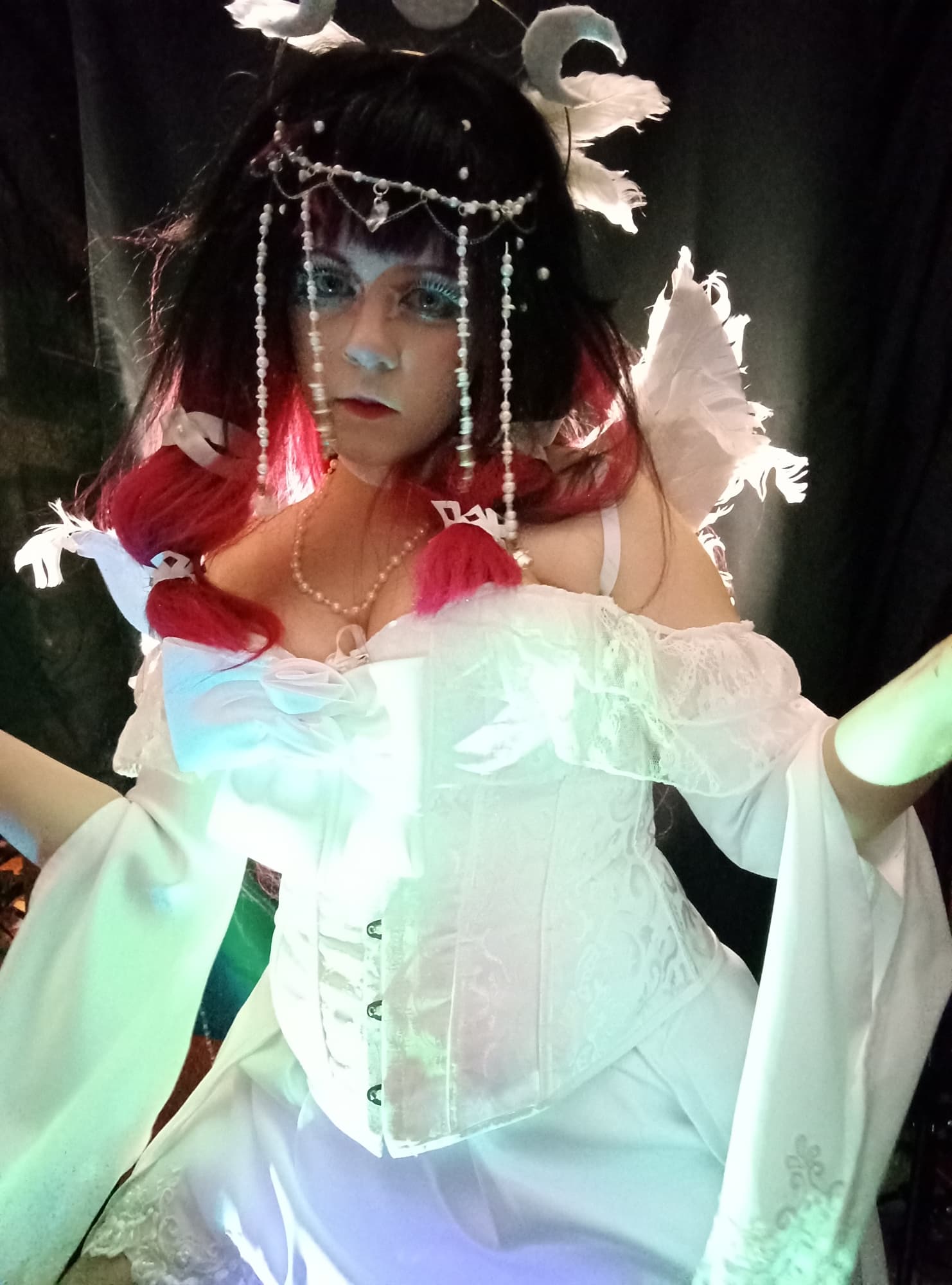 Columbina costest - Photo 10