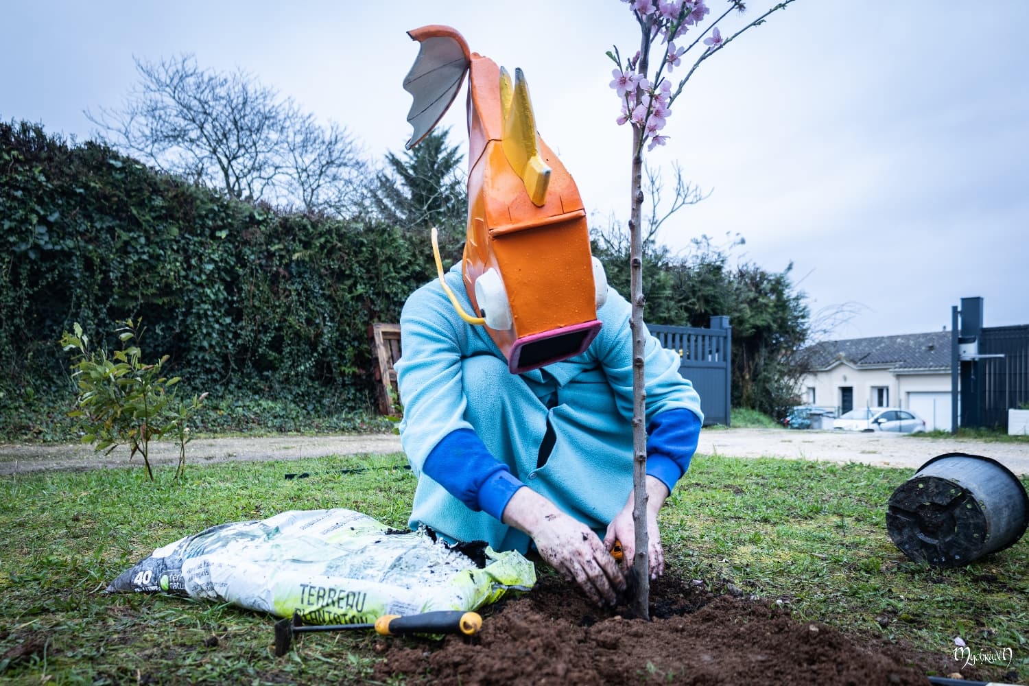 La plantation  - Photo 2